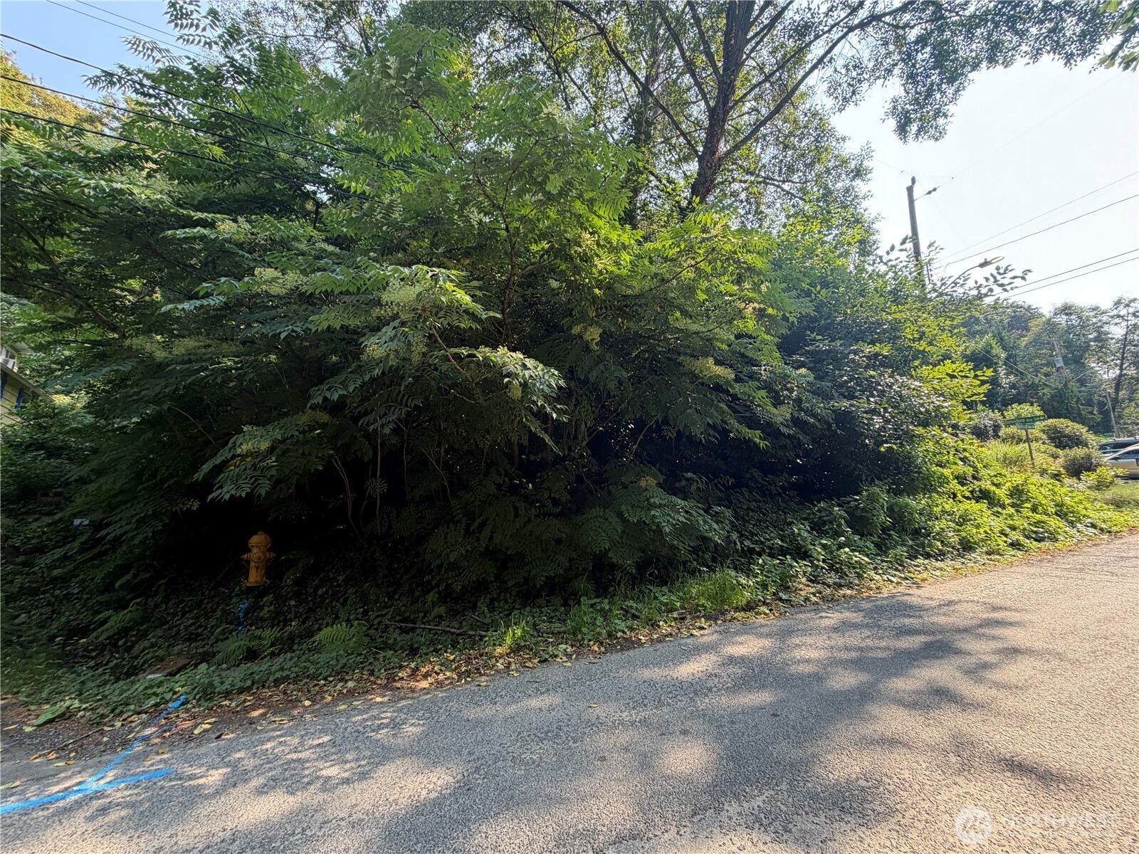 21 Xx Fairmount Avenue Property Photo 4