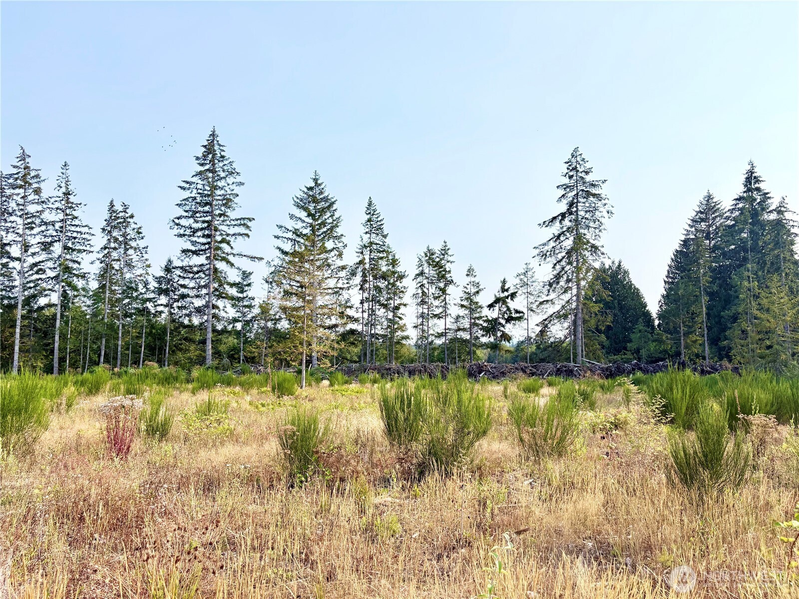 320 E Lonesome Creek Road Property Photo 30