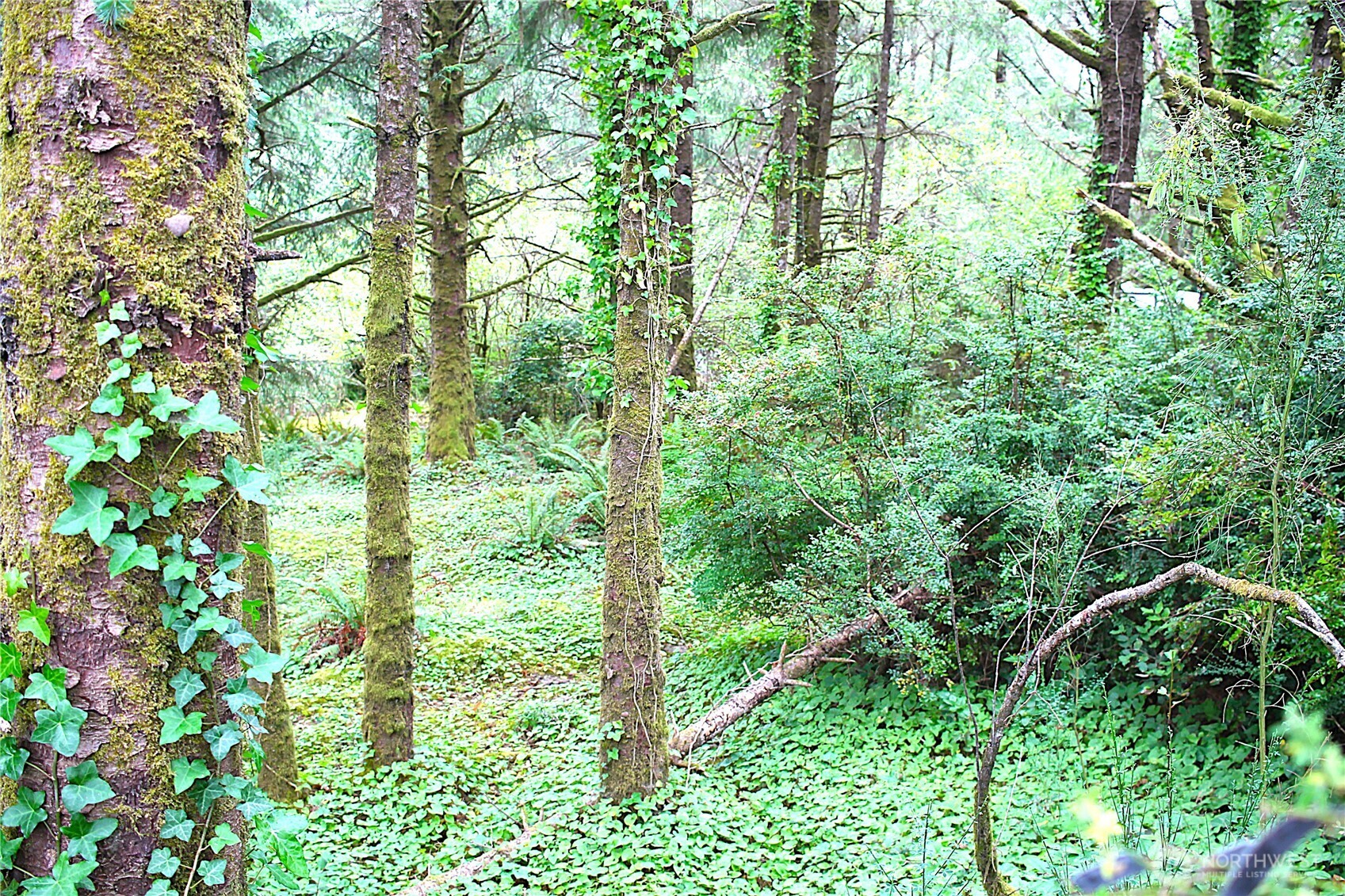 1875 State Route 105 Property Photo 29