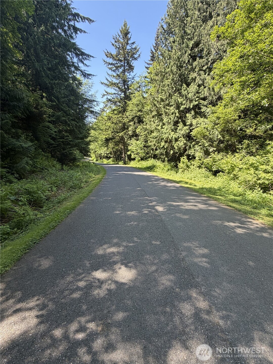 0 Squalicum Mountain Road Property Photo 2