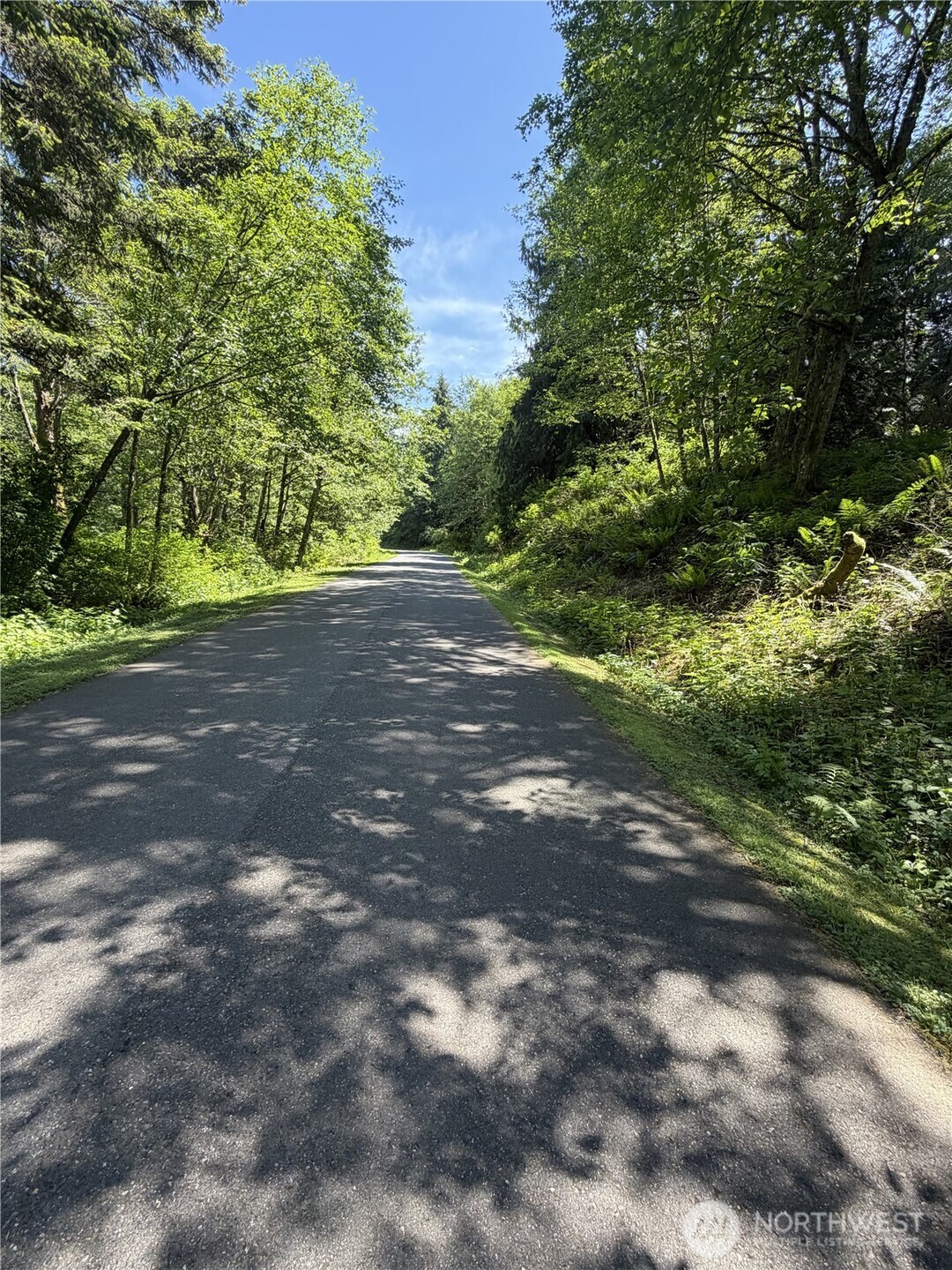 0 Squalicum Mountain Road Property Photo 3