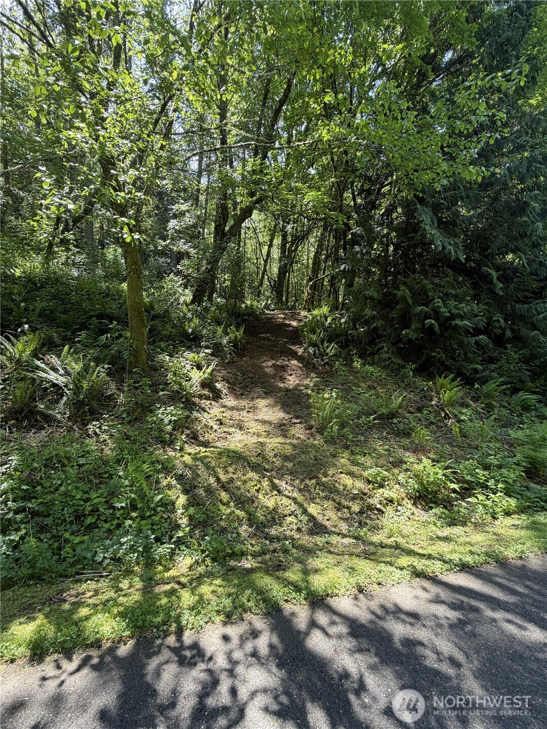 0 Squalicum Mountain Road Property Photo 4
