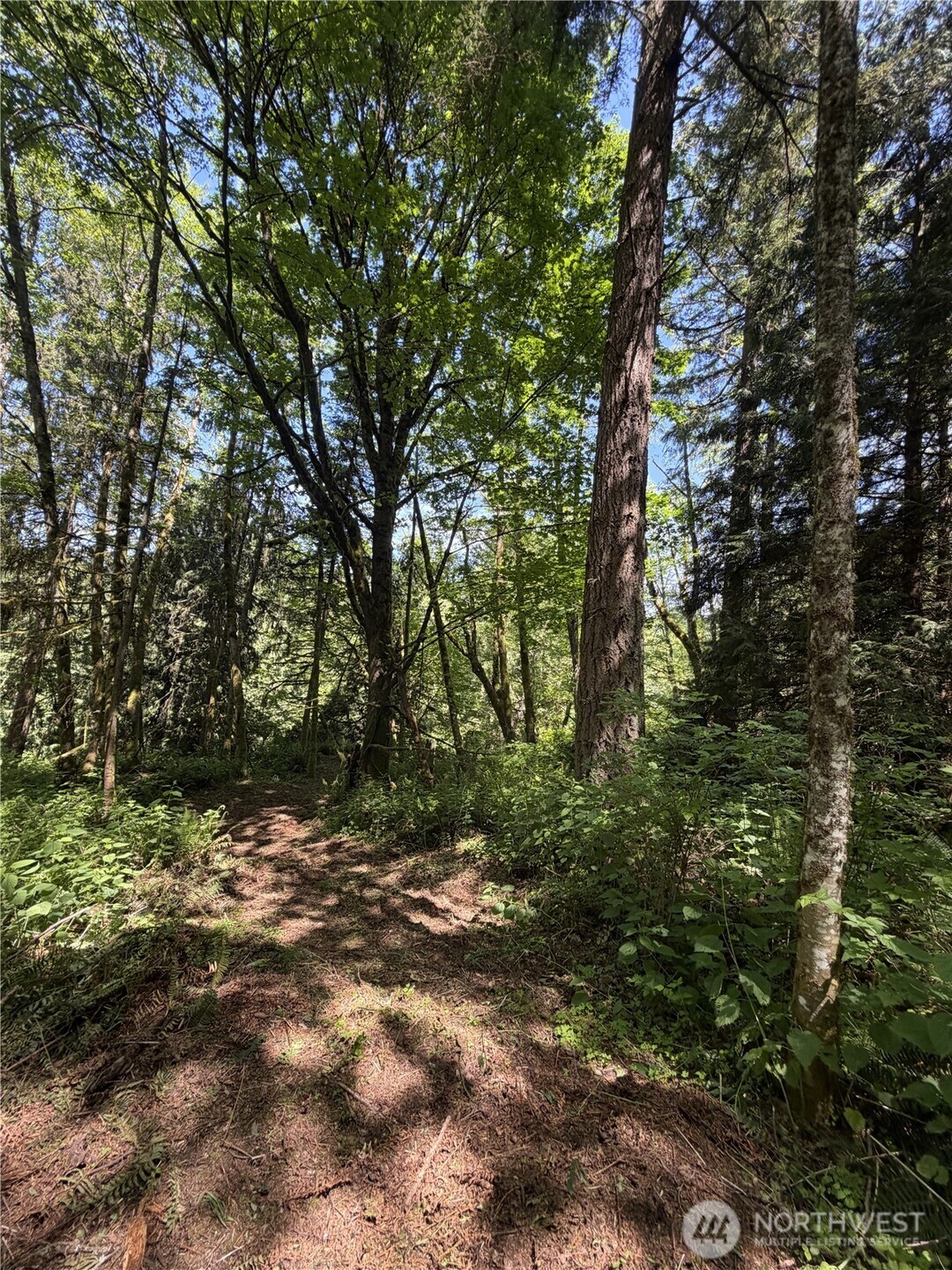 0 Squalicum Mountain Road Property Photo 5