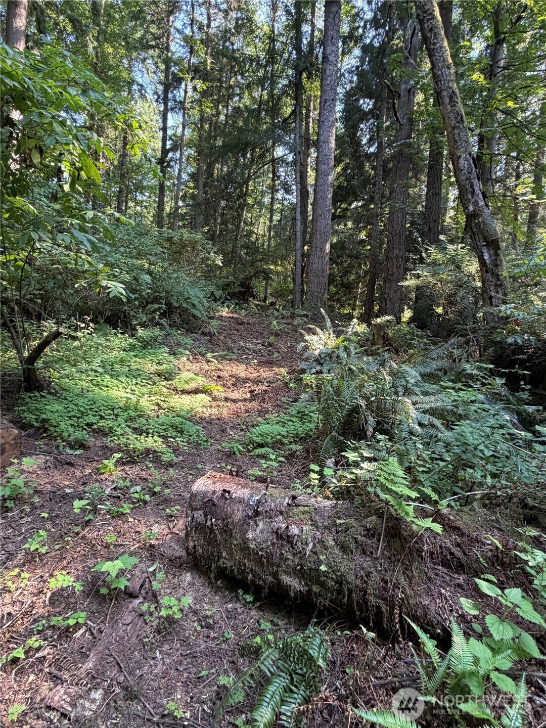 0 Squalicum Mountain Road Property Photo 6