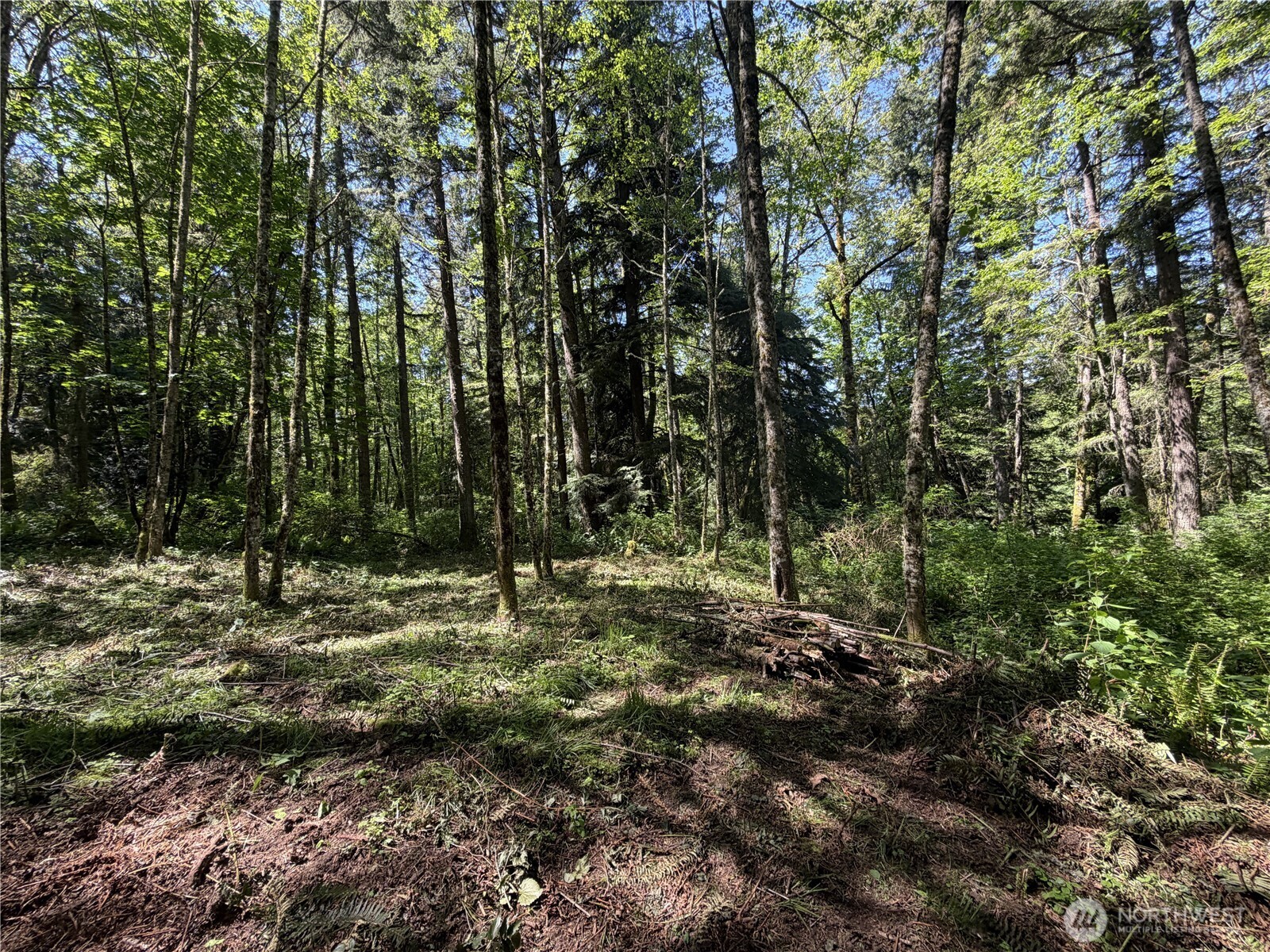 0 Squalicum Mountain Road Property Photo 7