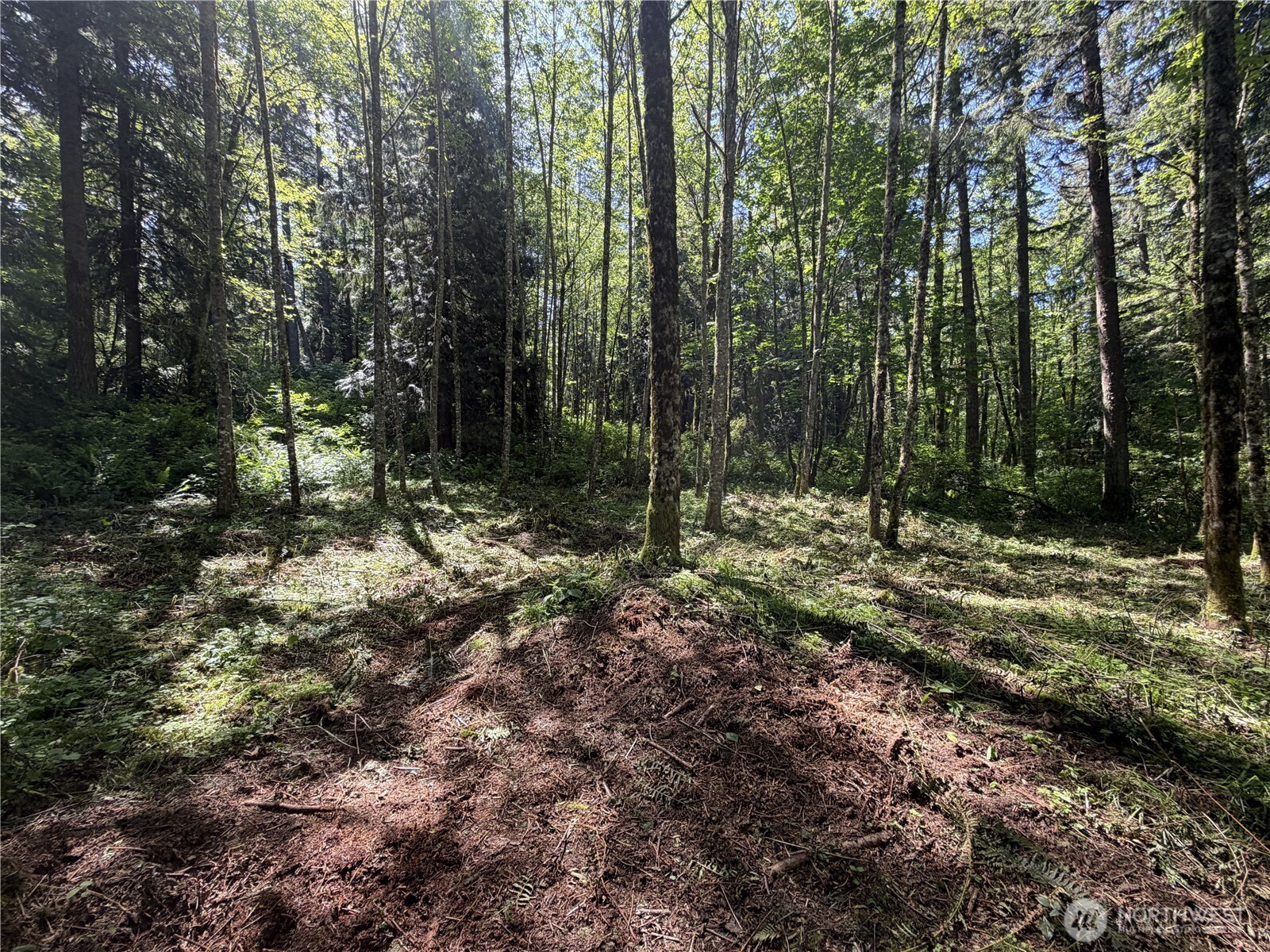0 Squalicum Mountain Road Property Photo 8