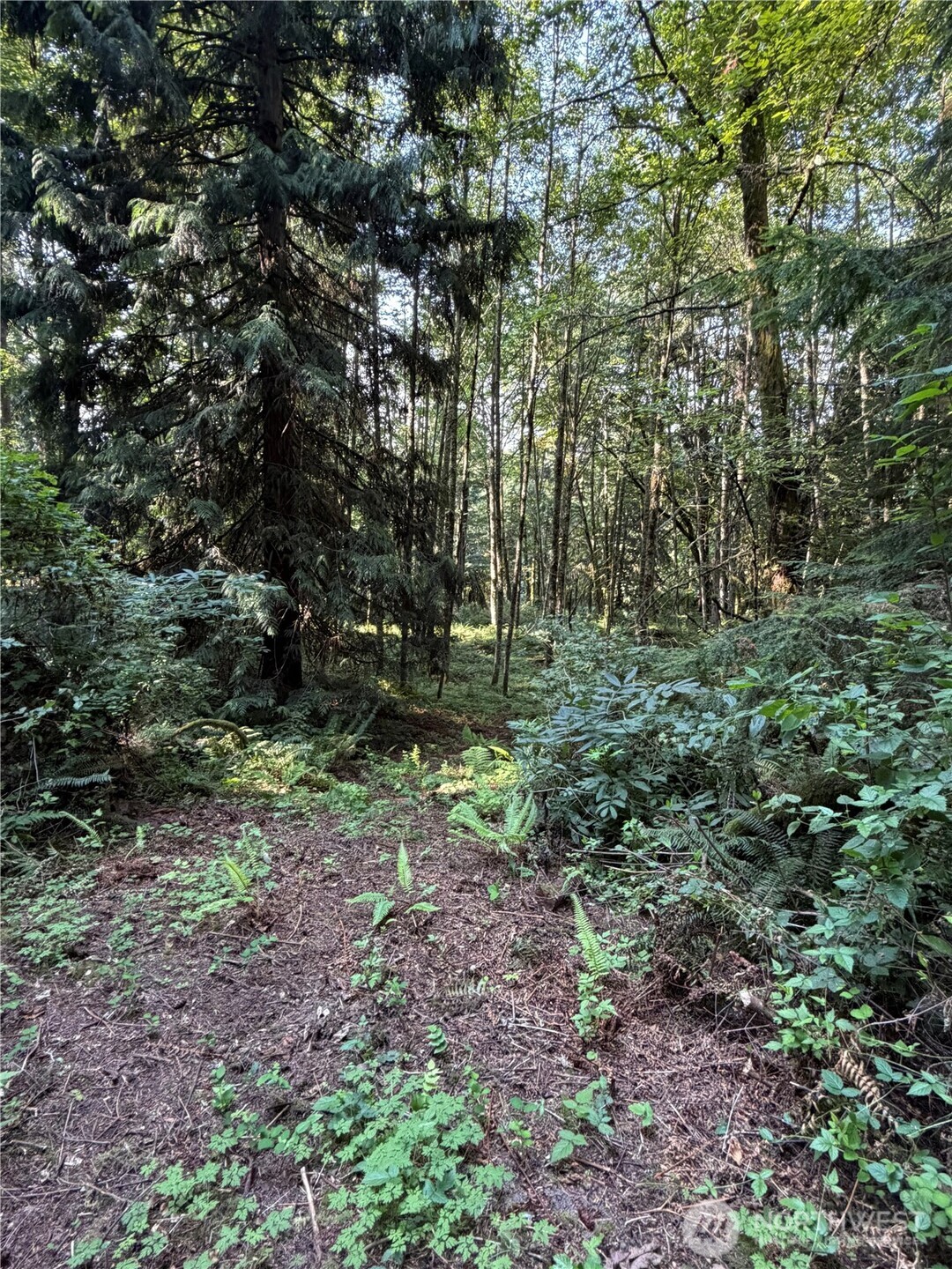 0 Squalicum Mountain Road Property Photo 10