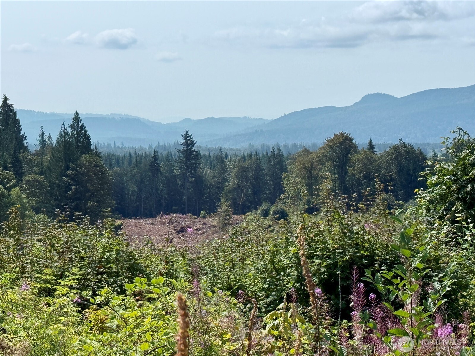 27423 Old Pipeline Road Property Photo 8