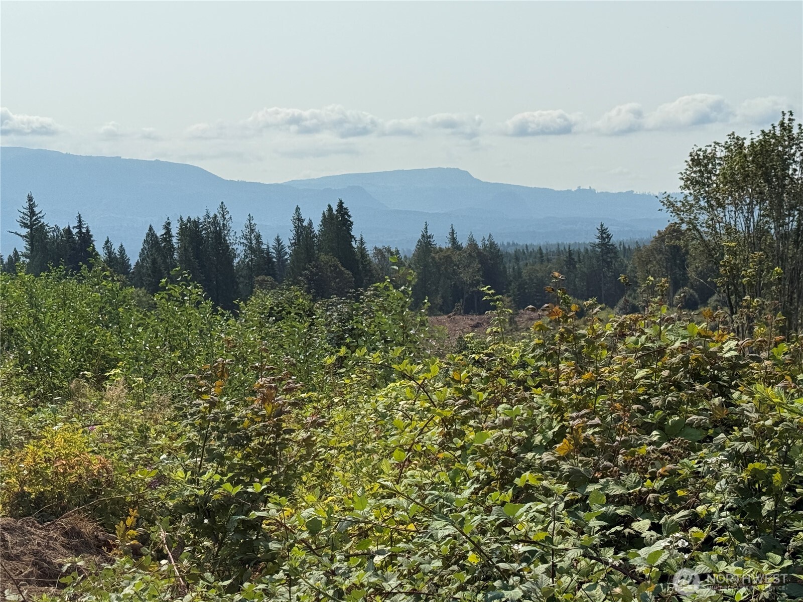 27423 Old Pipeline Road Property Photo 9