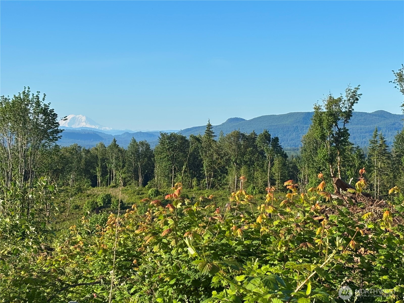 27423 Old Pipeline Road Property Photo 10