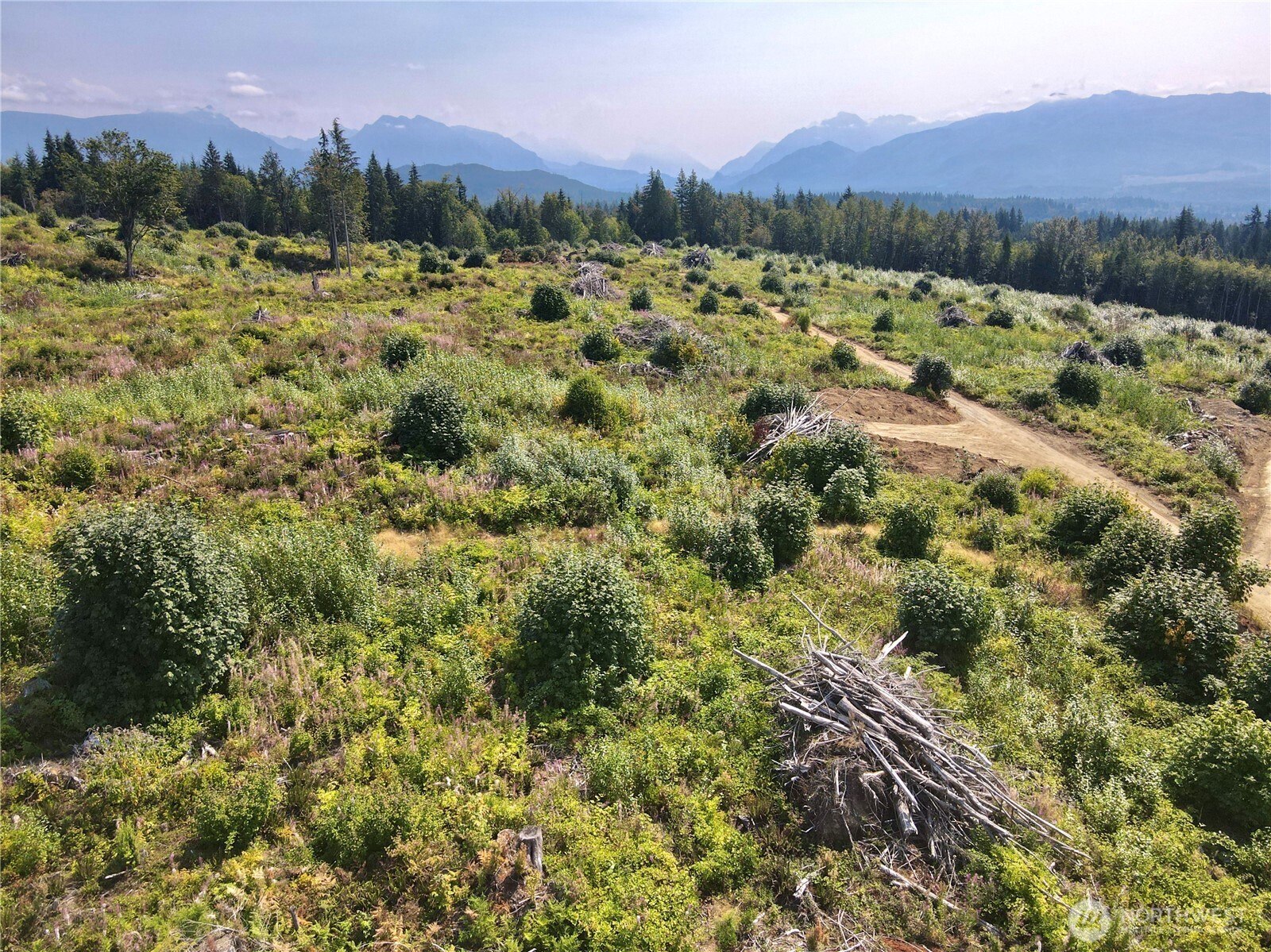 27423 Old Pipeline Road Property Photo 13