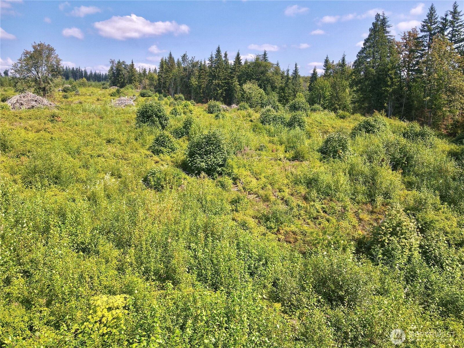 27423 Old Pipeline Road Property Photo 14