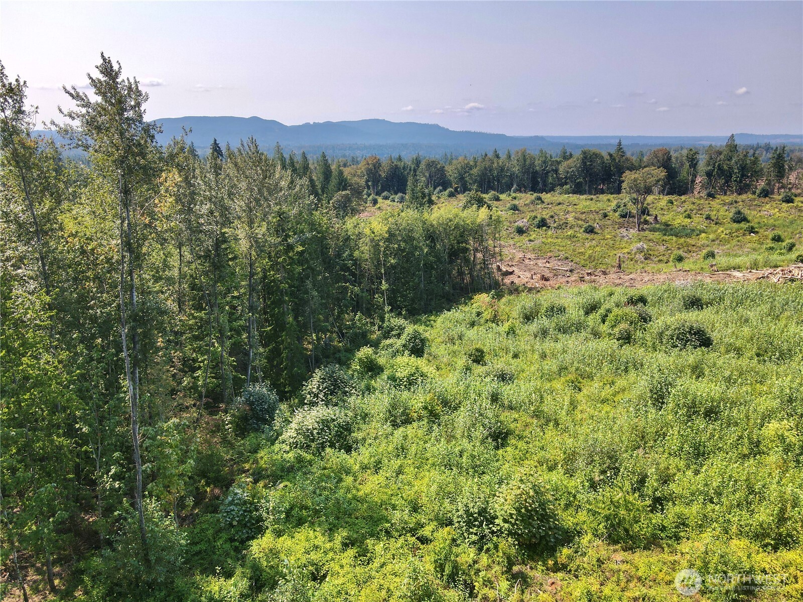 27423 Old Pipeline Road Property Photo 15