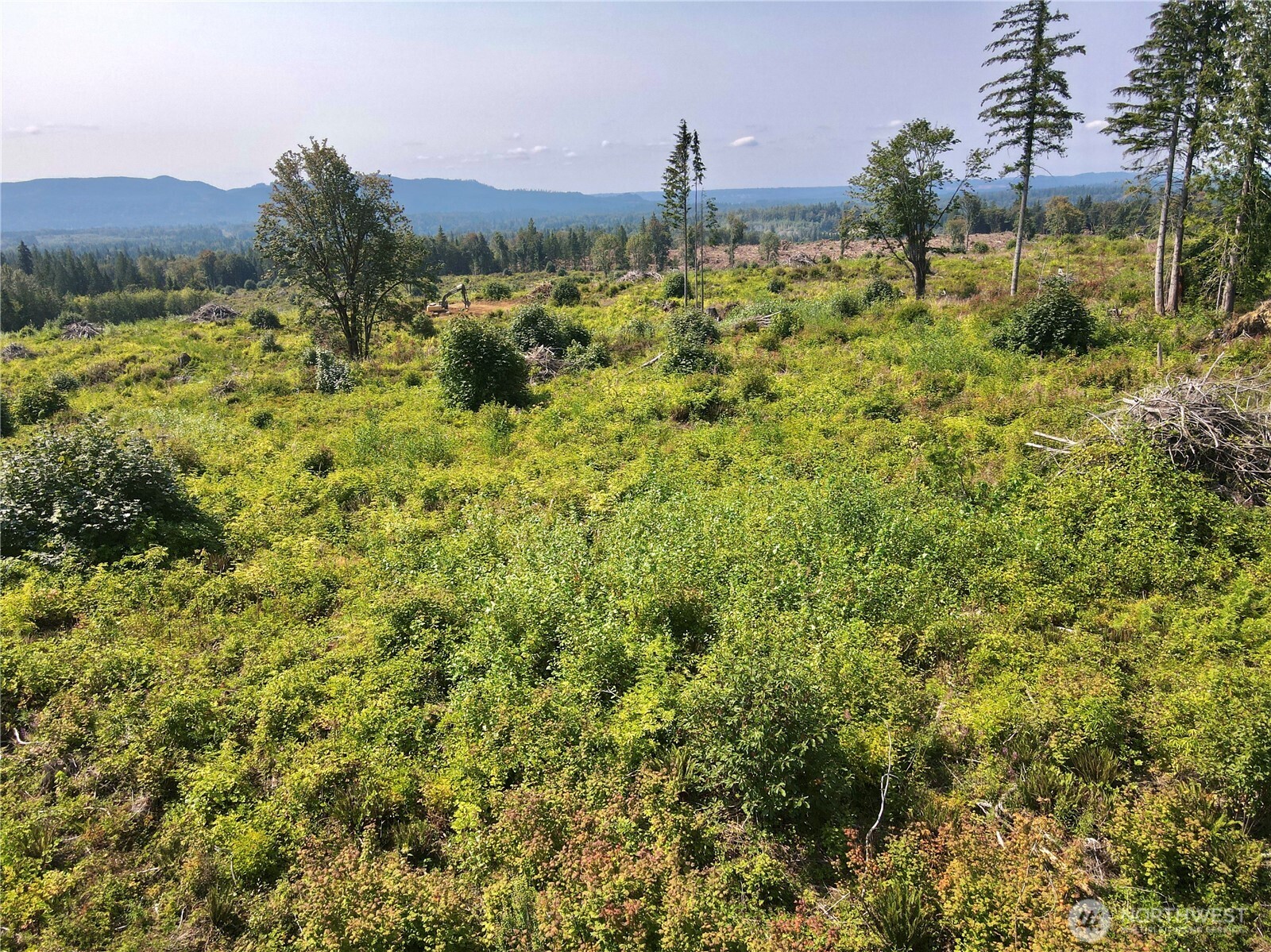 27423 Old Pipeline Road Property Photo 17