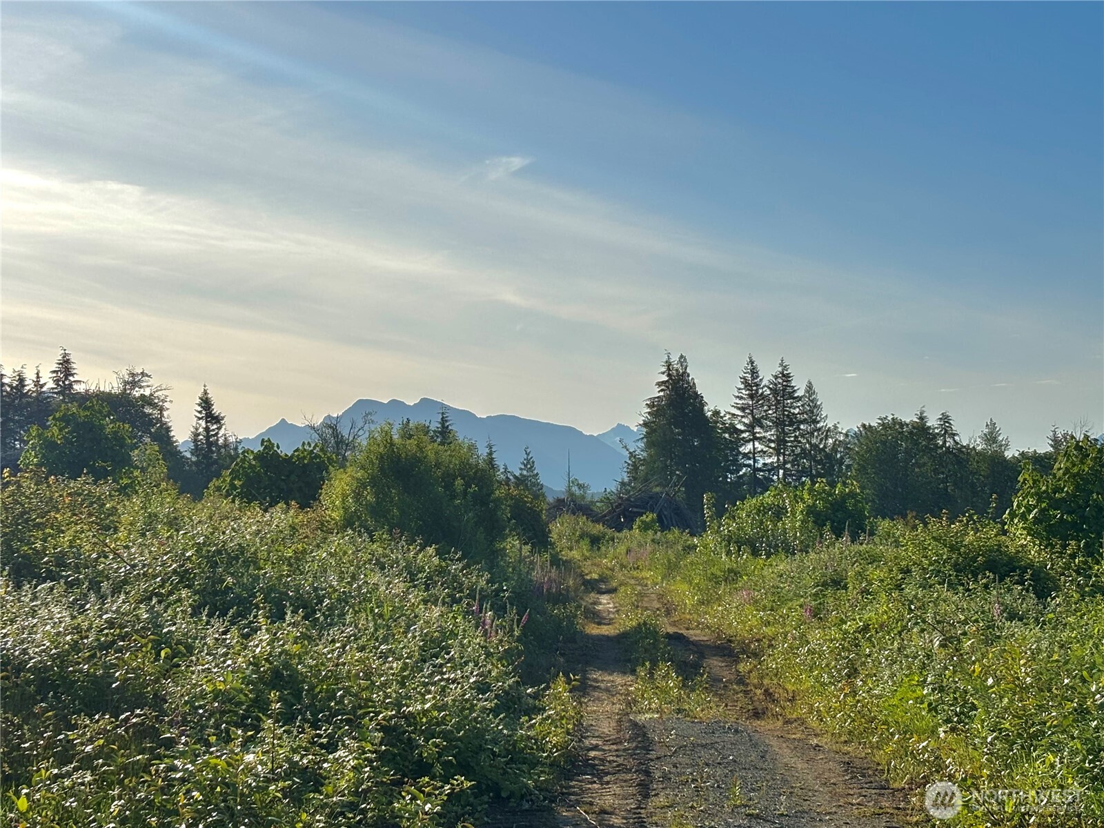27423 Old Pipeline Road Property Photo 18