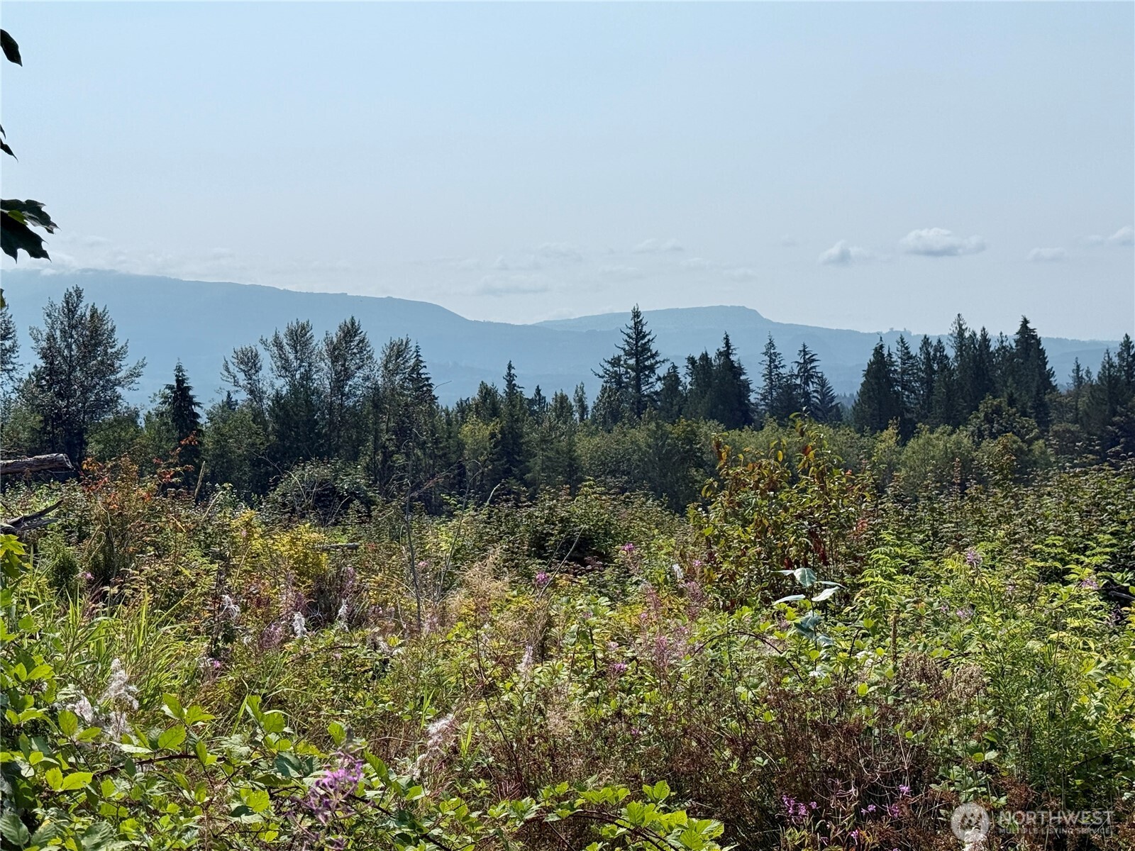 27423 Old Pipeline Road Property Photo 22