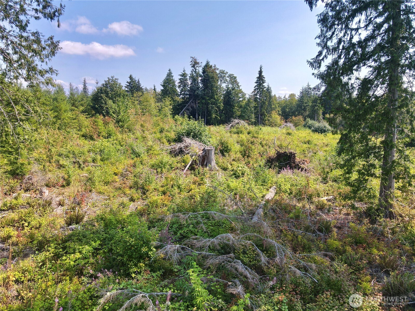 27423 Old Pipeline Road Property Photo 24
