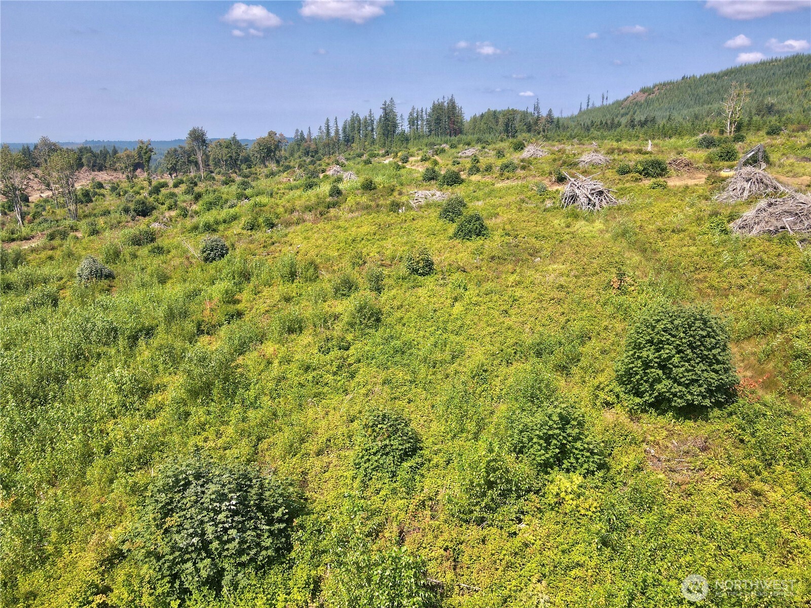 27423 Old Pipeline Road Property Photo 26