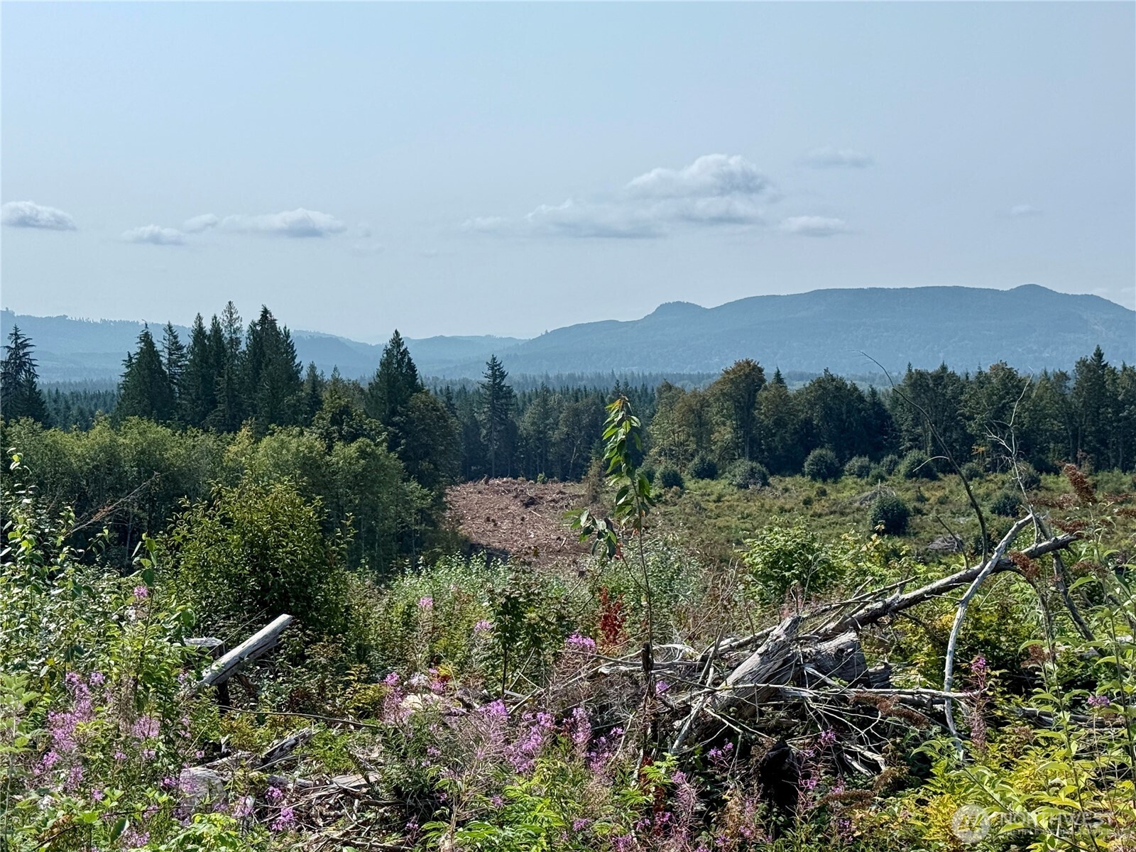 27423 Old Pipeline Road Property Photo 33