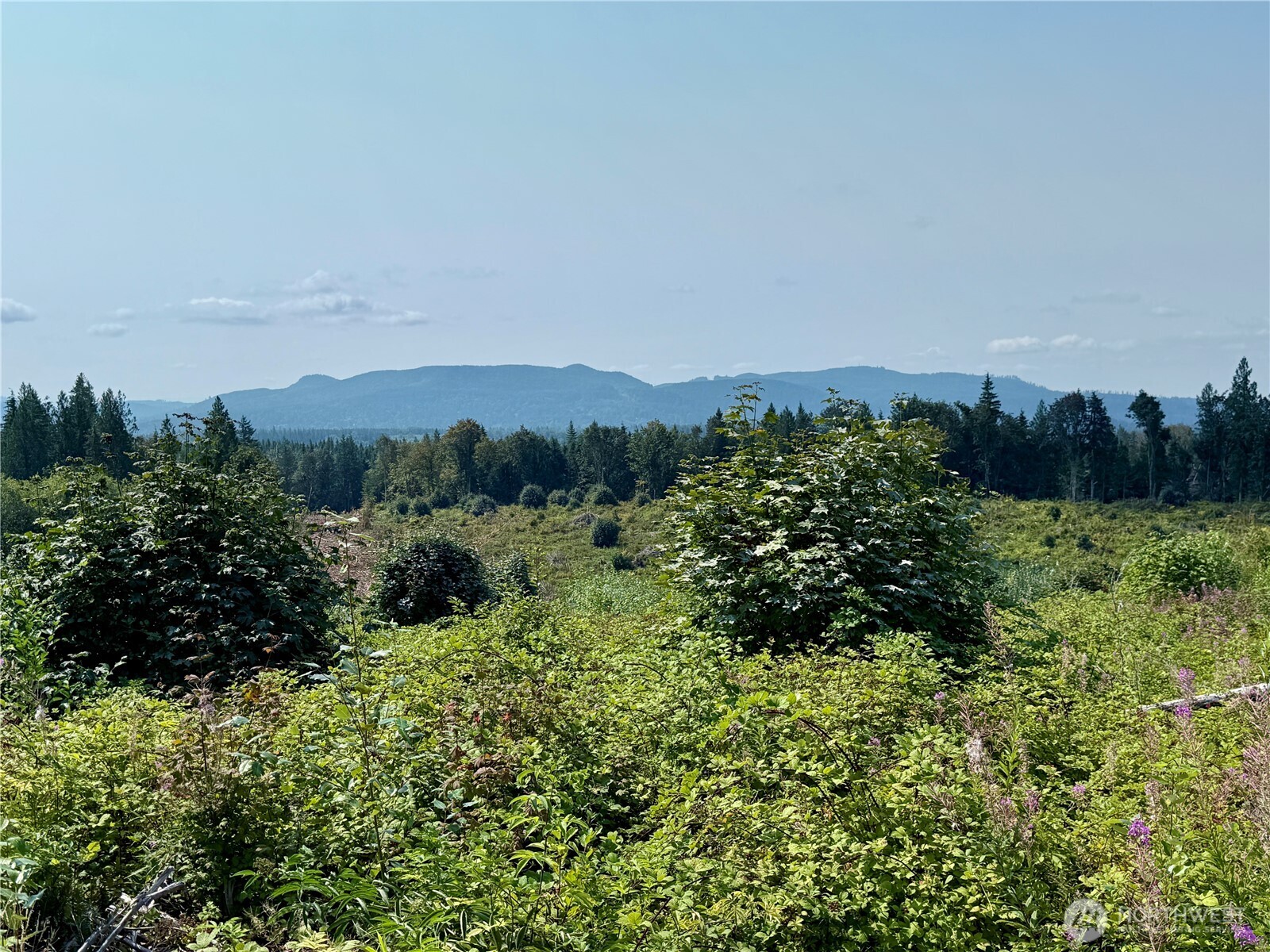 27423 Old Pipeline Road Property Photo 38