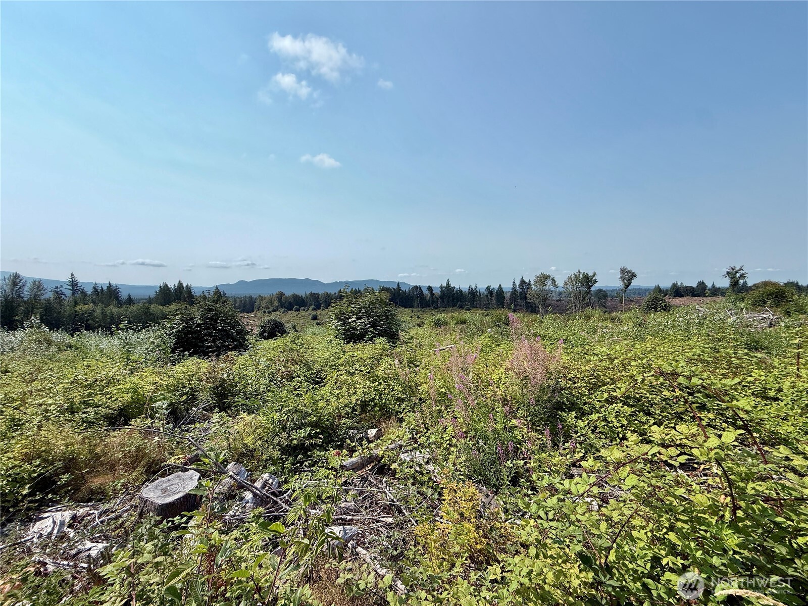 27423 Old Pipeline Road Property Photo 39