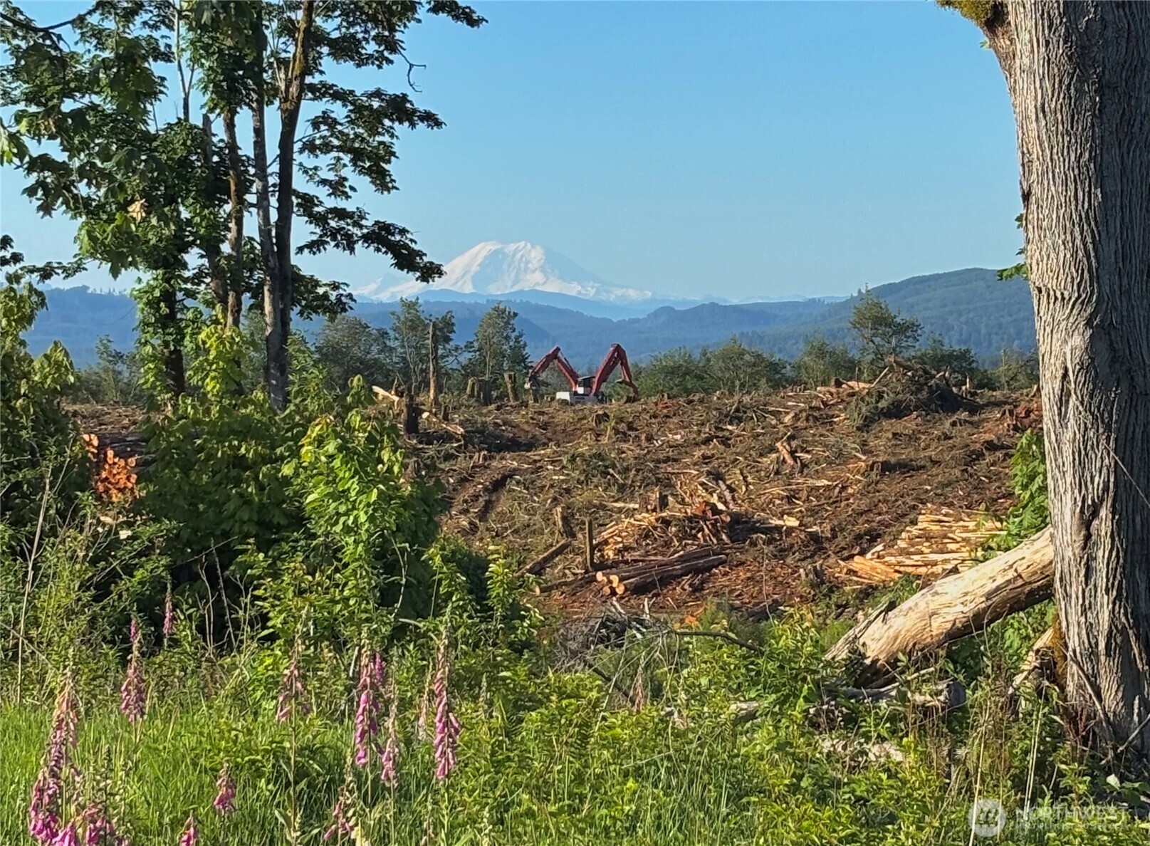 27417 Old Pipeline Road Property Photo 12