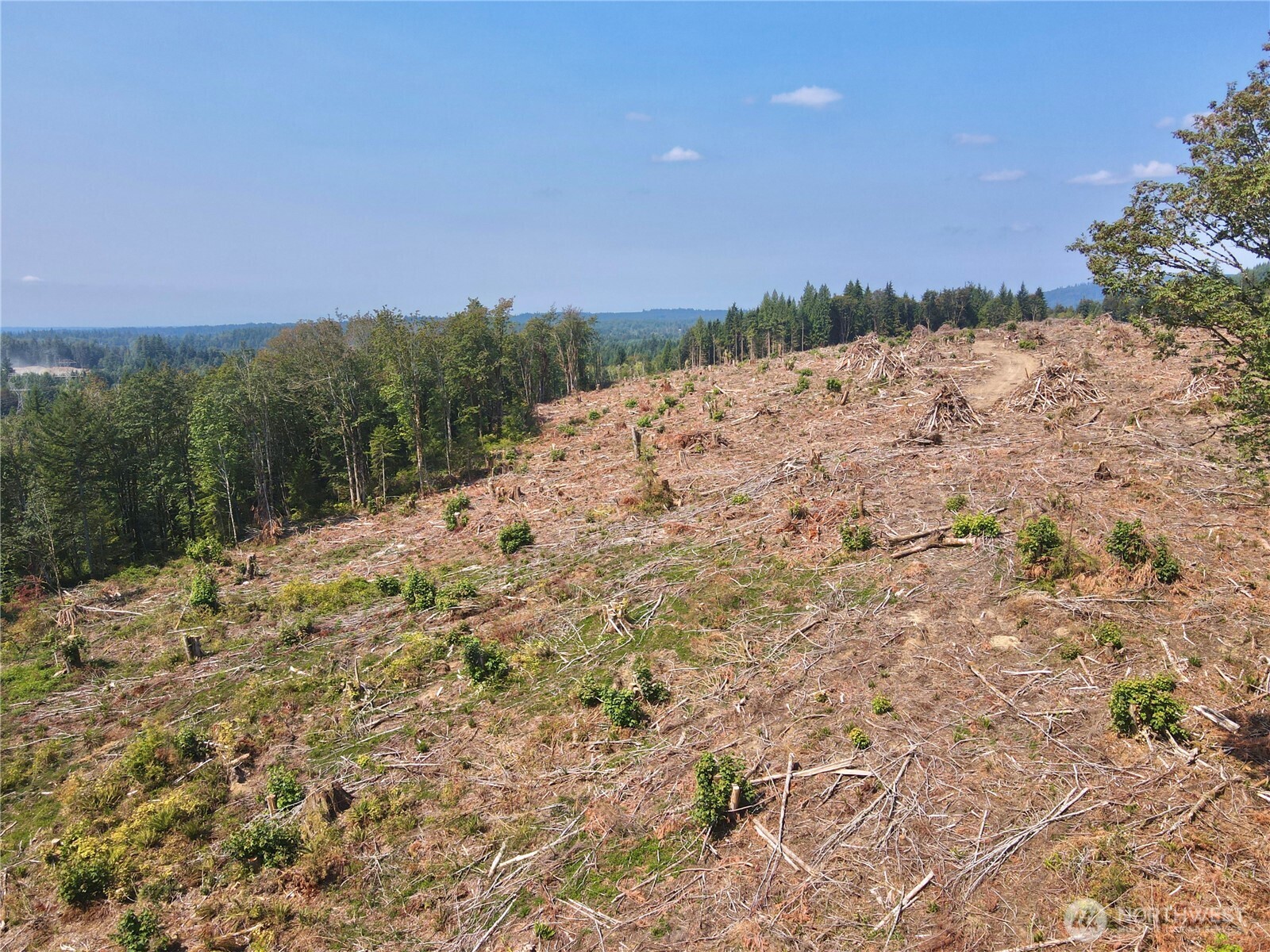 27417 Old Pipeline Road Property Photo 16