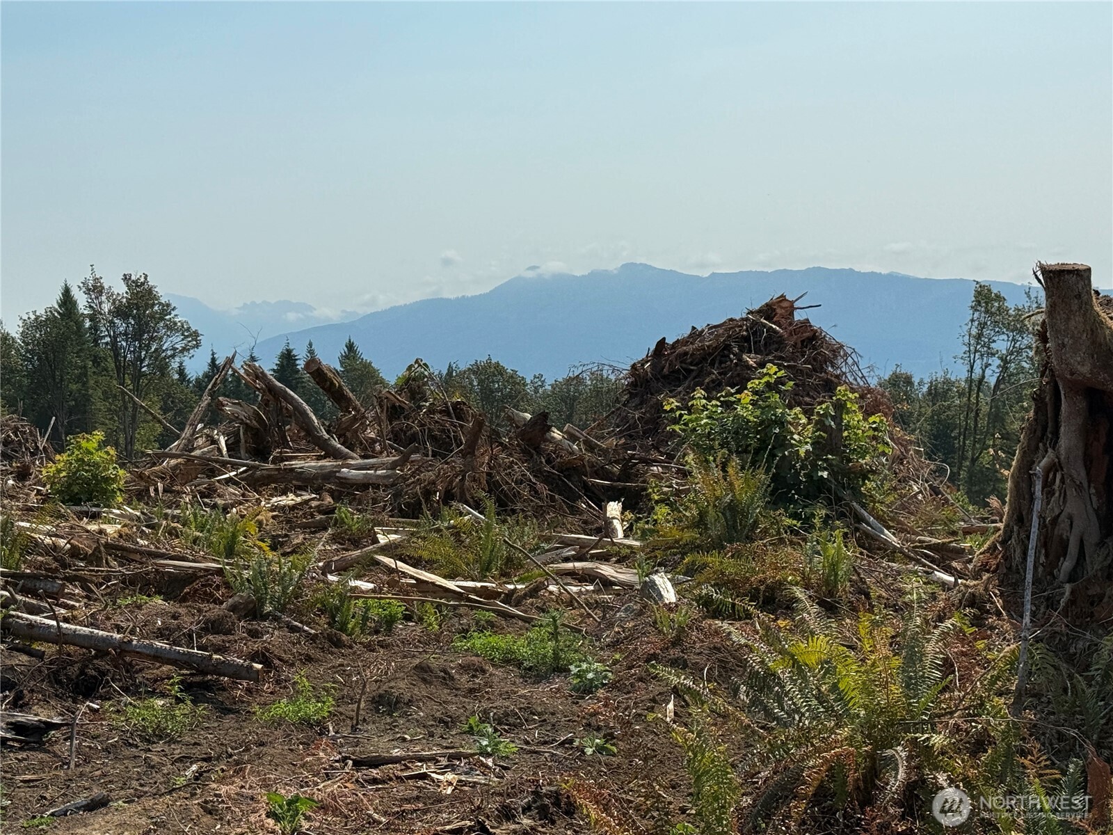 27417 Old Pipeline Road Property Photo 21