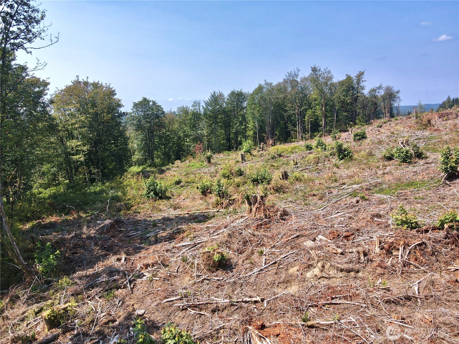 27417 Old Pipeline Road Property Photo 28