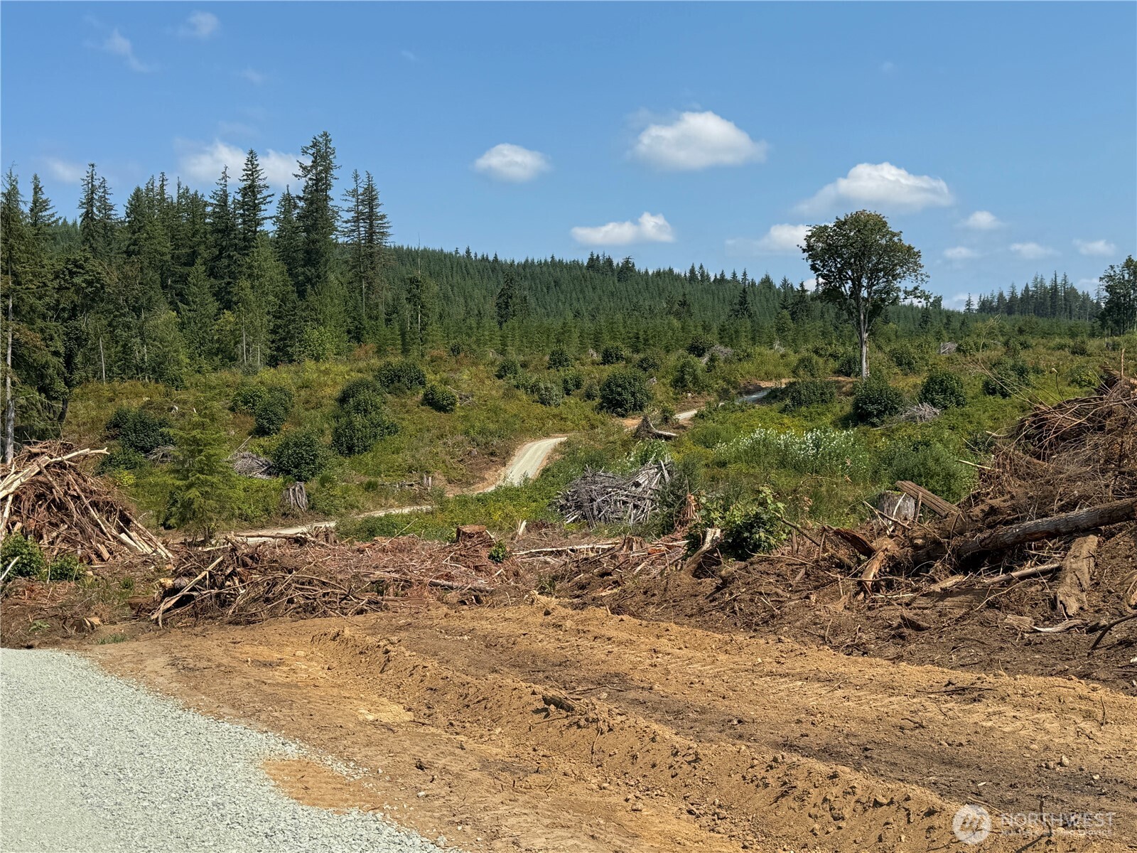 27417 Old Pipeline Road Property Photo 29