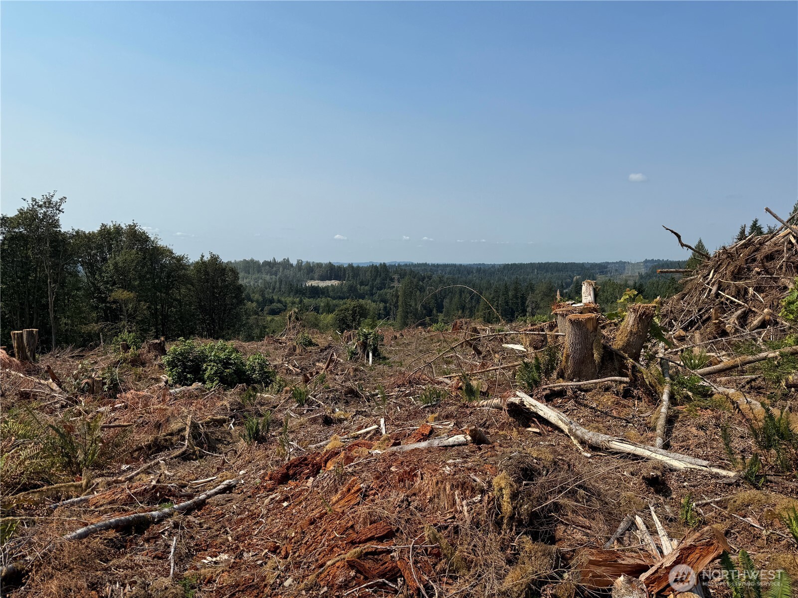 27417 Old Pipeline Road Property Photo 33