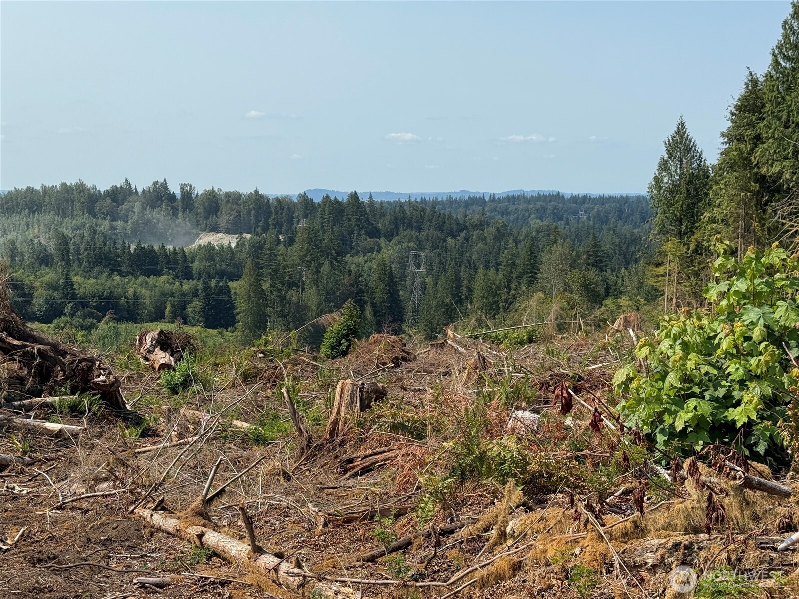 27417 Old Pipeline Road Property Photo 36