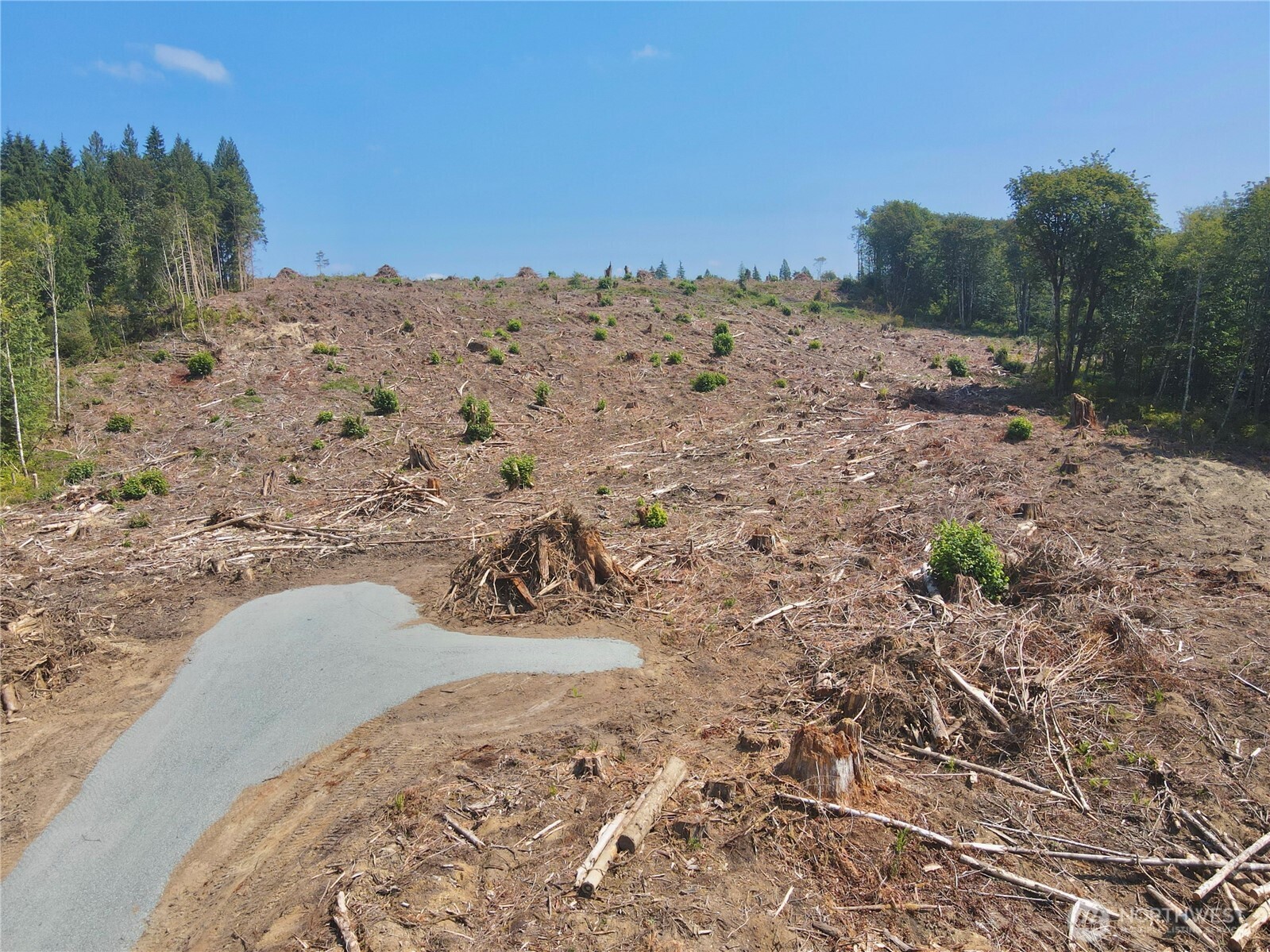 27413 Old Pipeline Road Property Photo 3