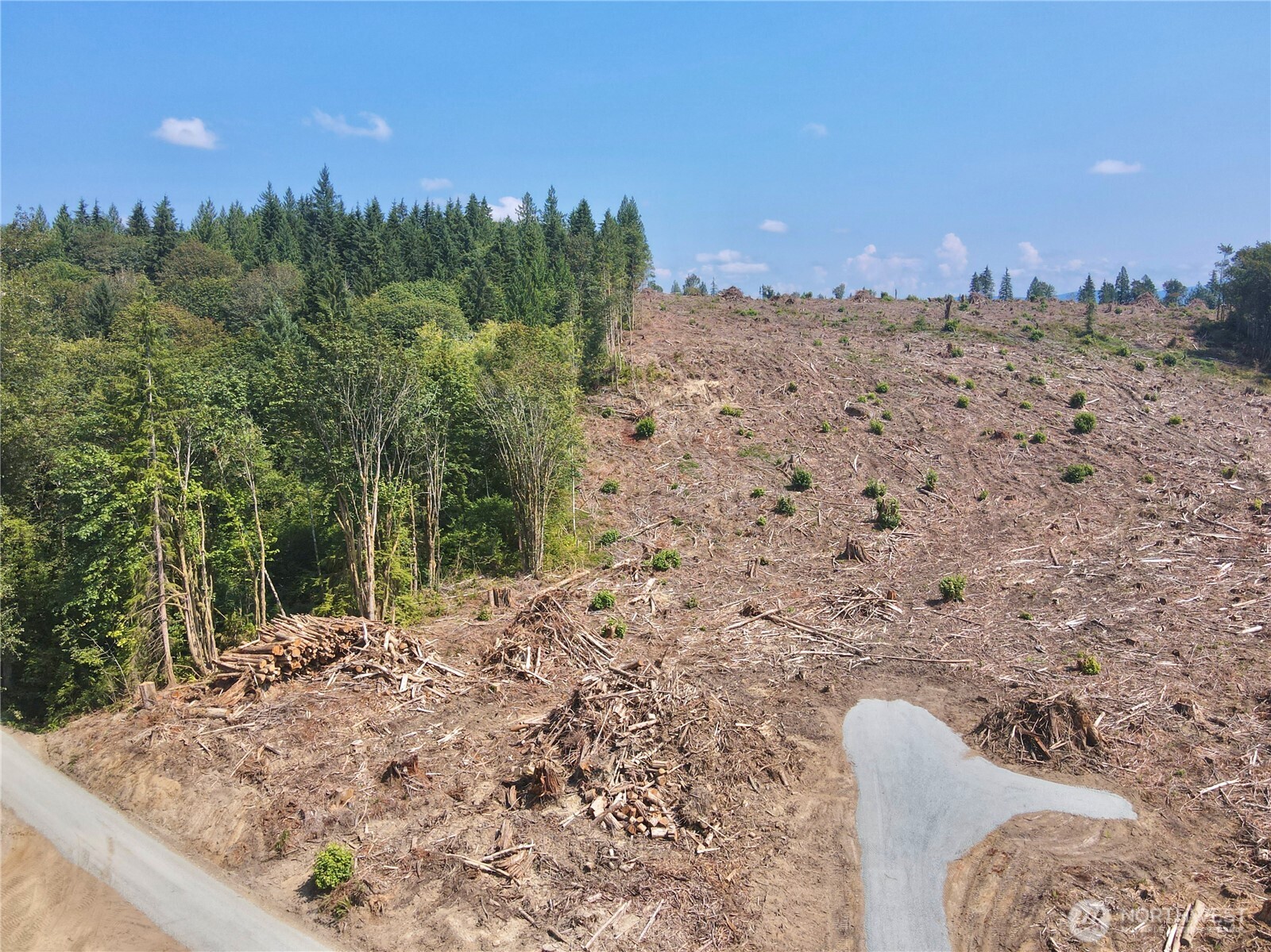 27413 Old Pipeline Road Property Photo 11