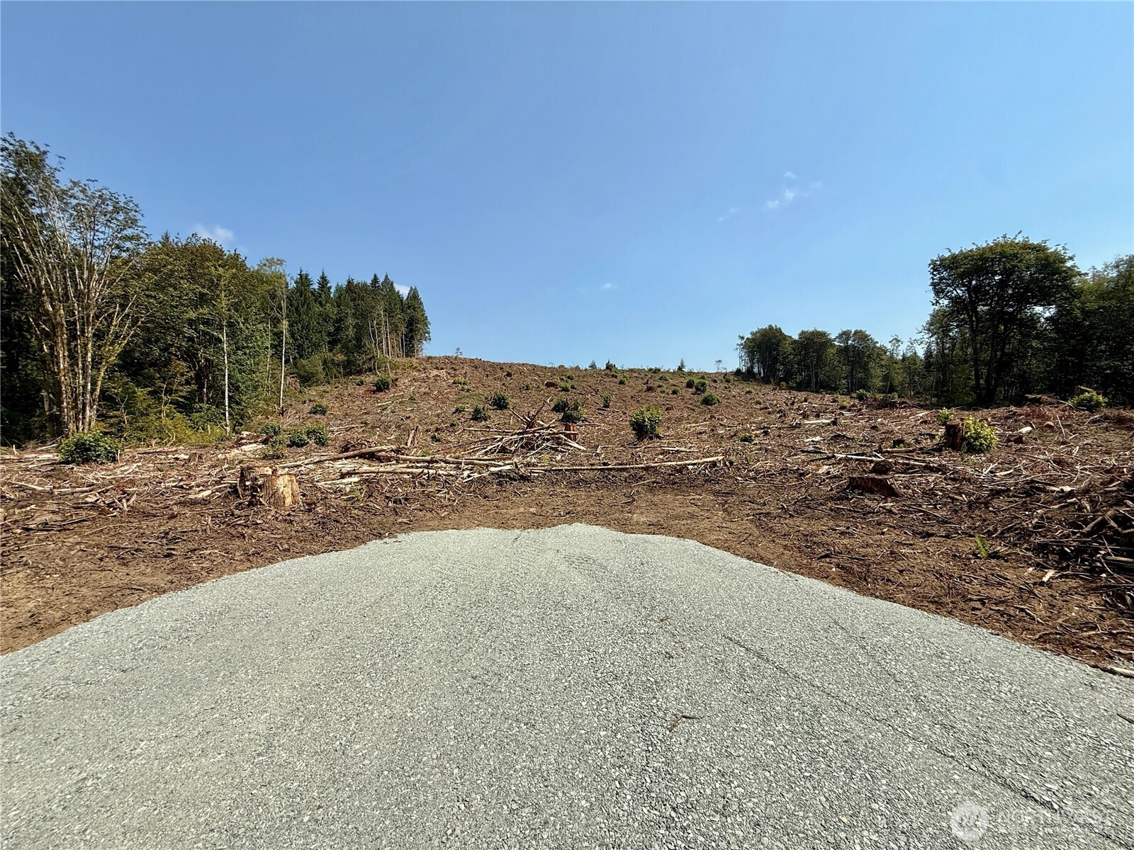 27413 Old Pipeline Road Property Photo 29