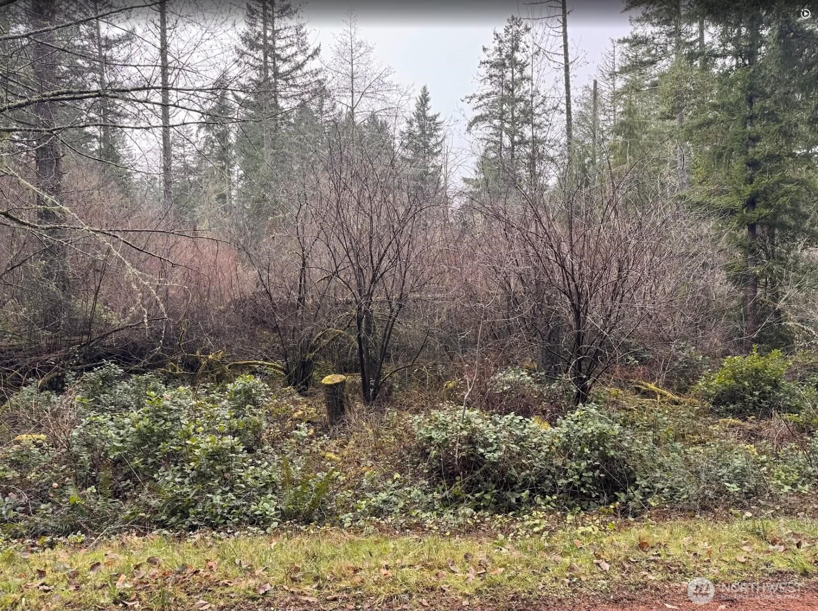 10618 Tahoma Drive Property Photo 1