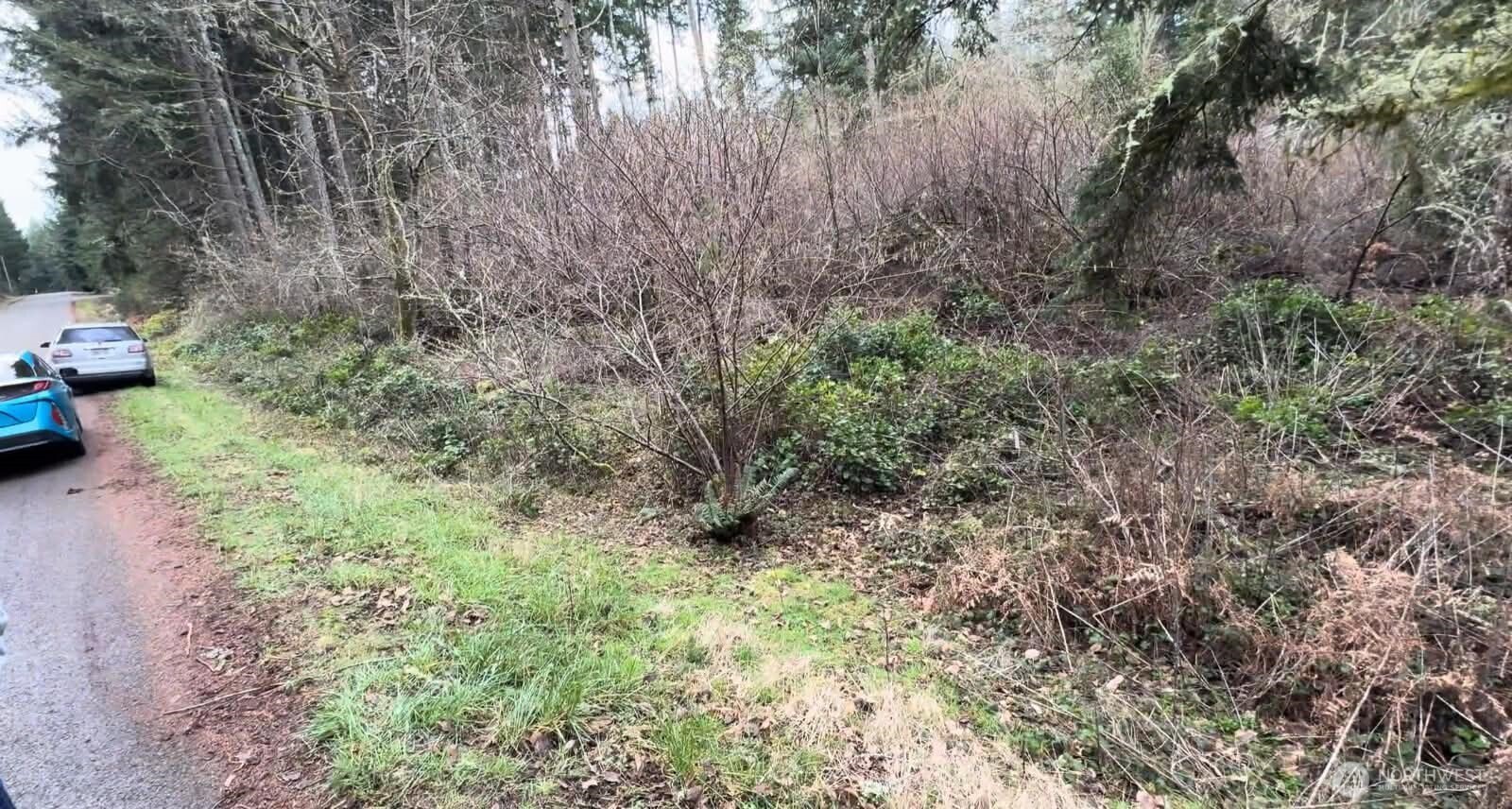 10618 Tahoma Drive Property Photo 3