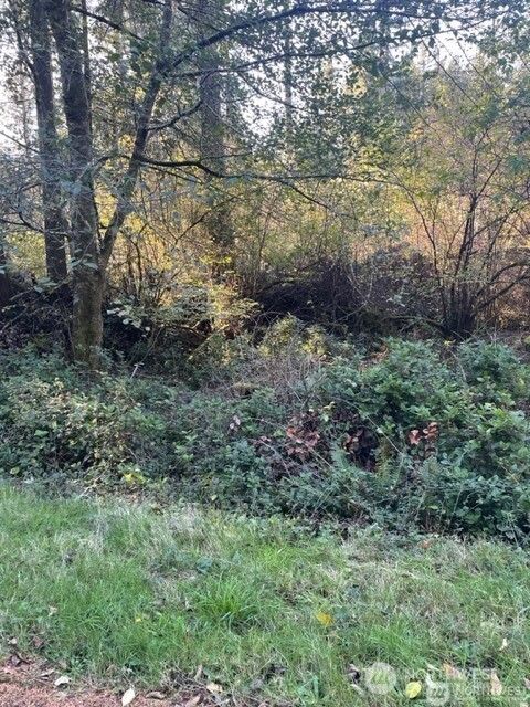 10618 Tahoma Drive Property Photo 4
