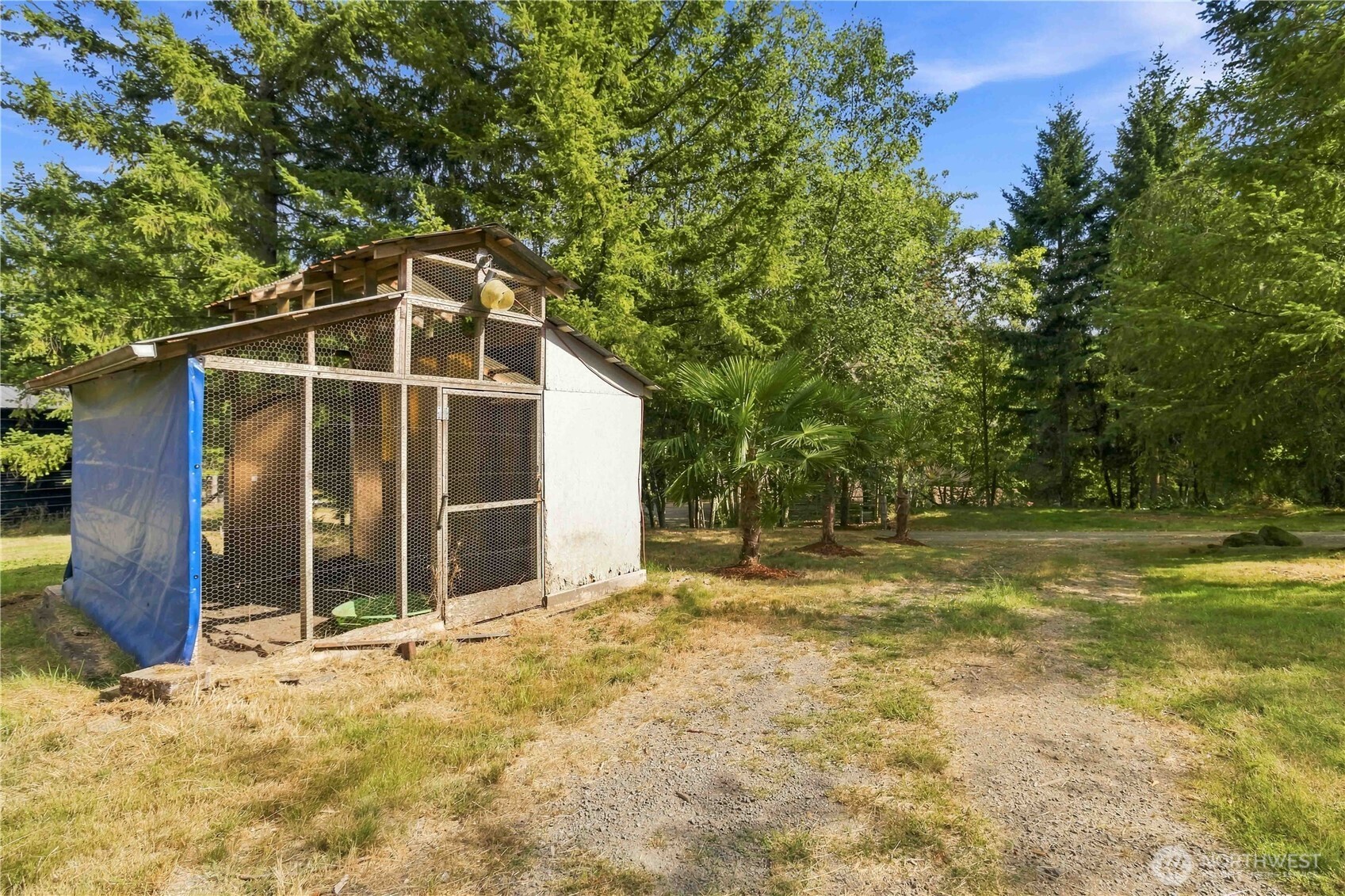 159 Jack-pine Road Property Photo 34