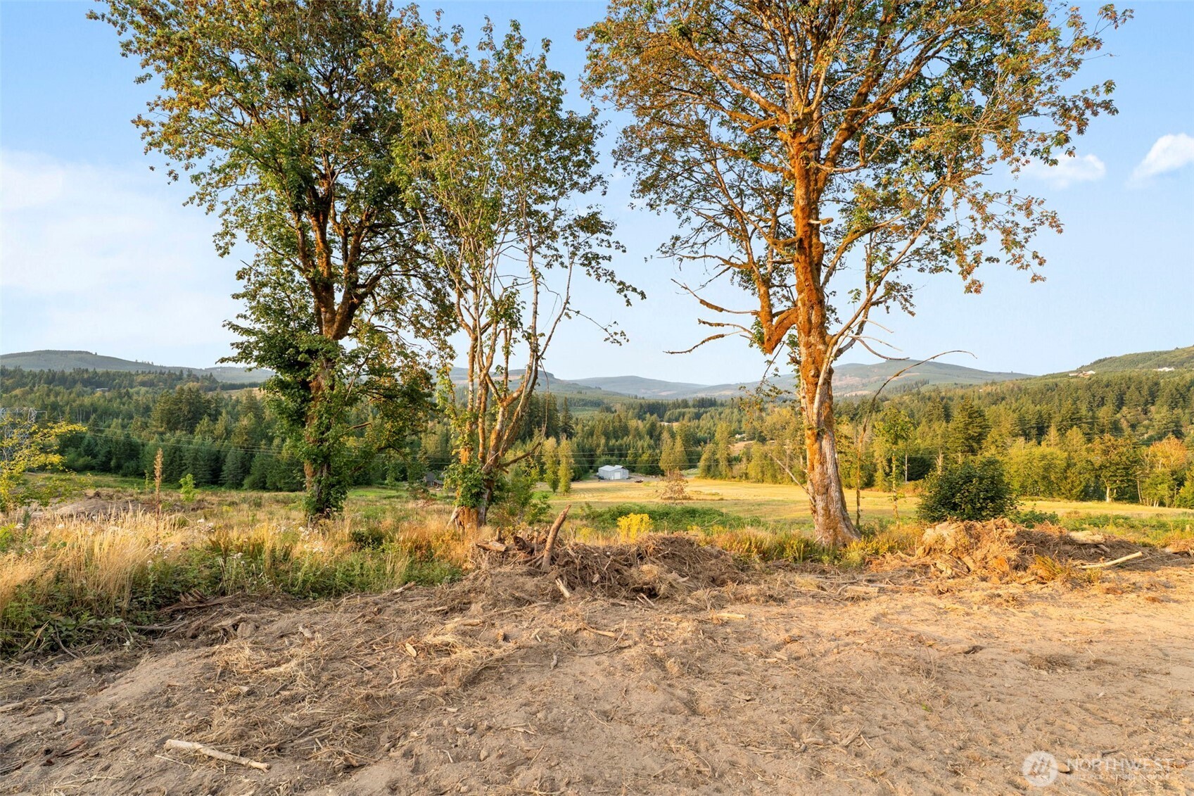 391 Brook Valley Road Property Photo 11