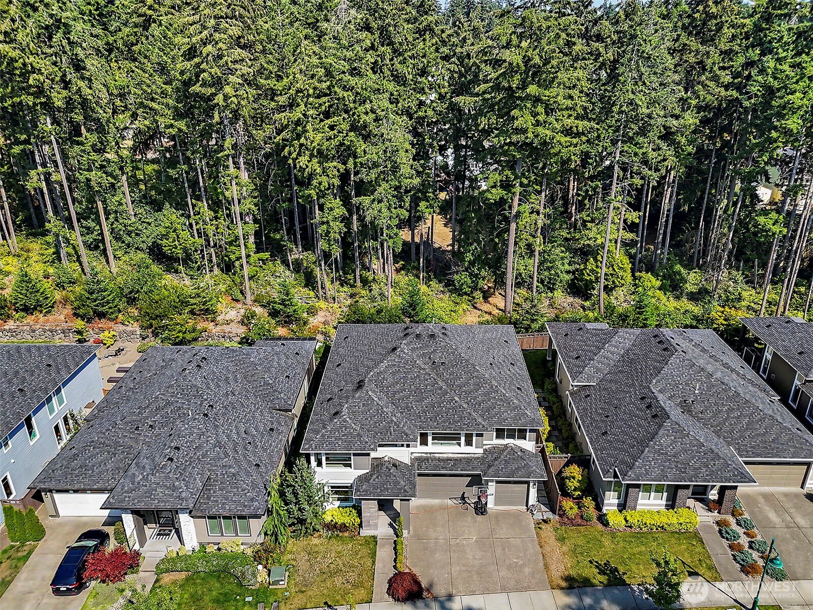 1176 11761 Arrowhead Drive Property Photo 6