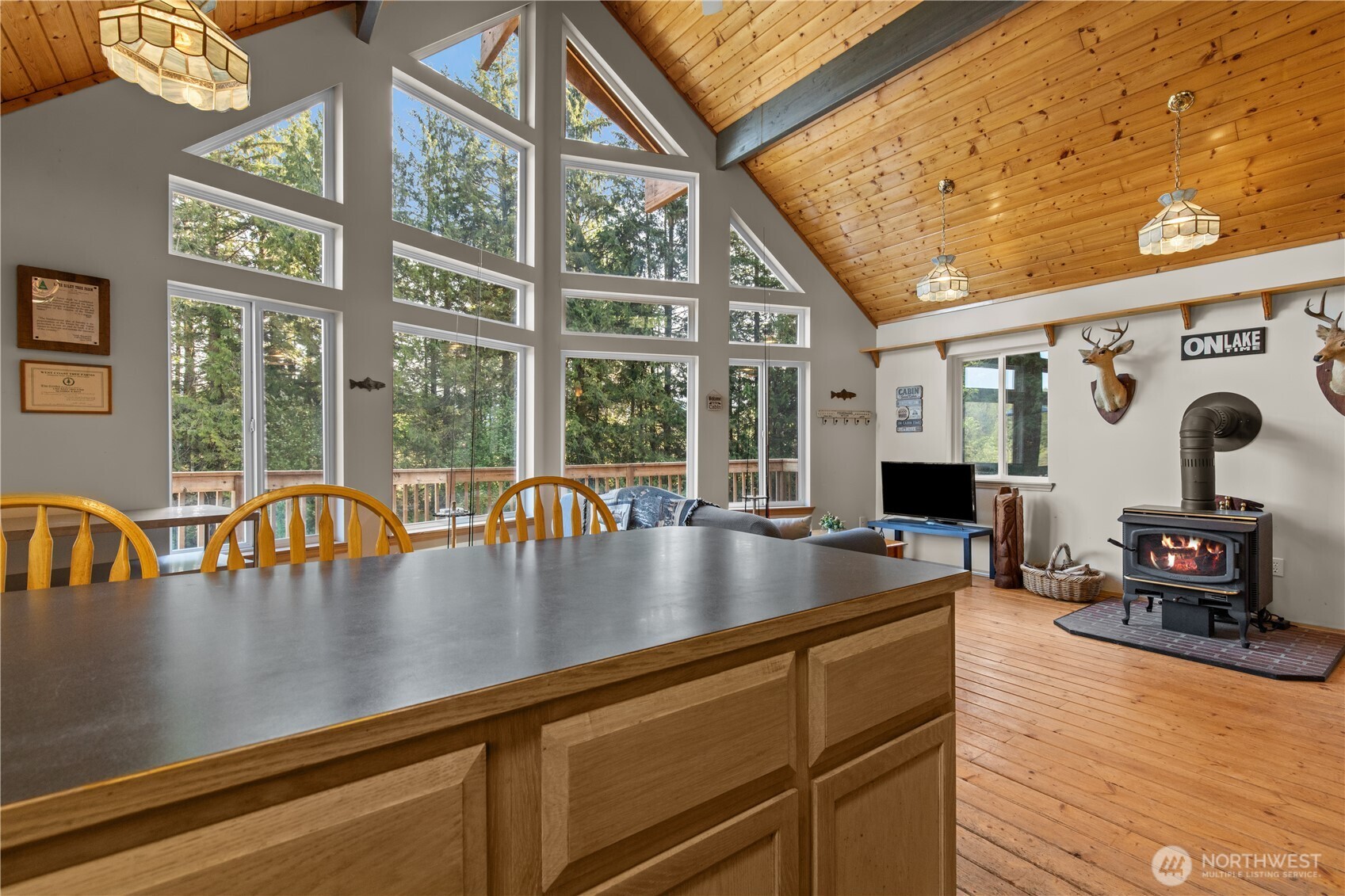 27525 W Lake Riley Road Property Photo 30