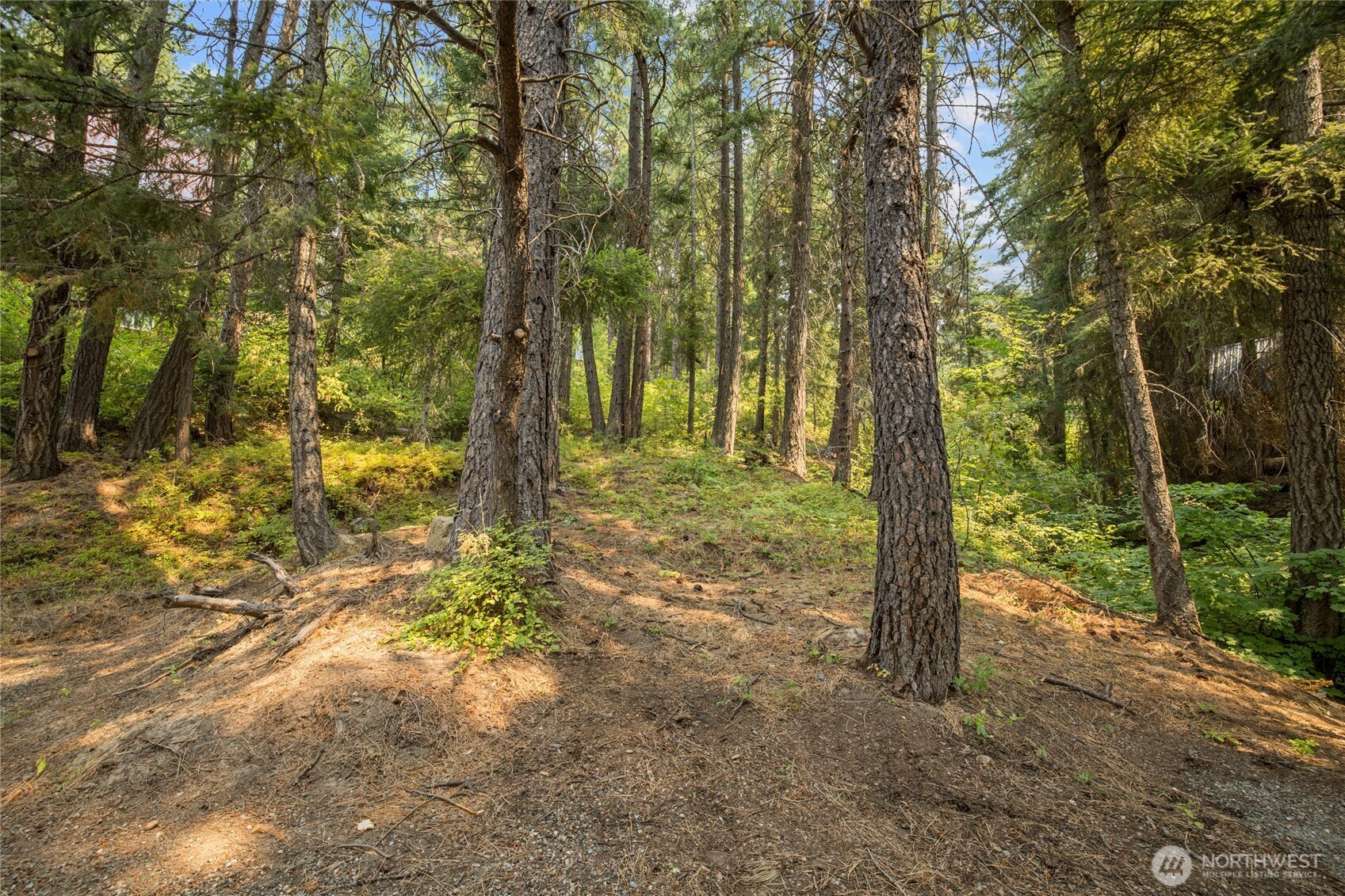 1511 Pine Loch Sun Drive Property Photo 6