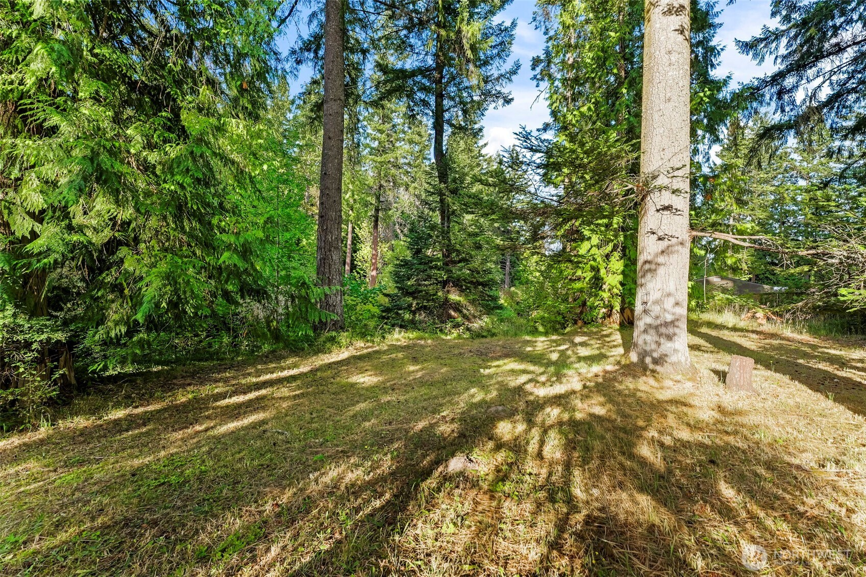 13836 166th Avenue Property Photo 30