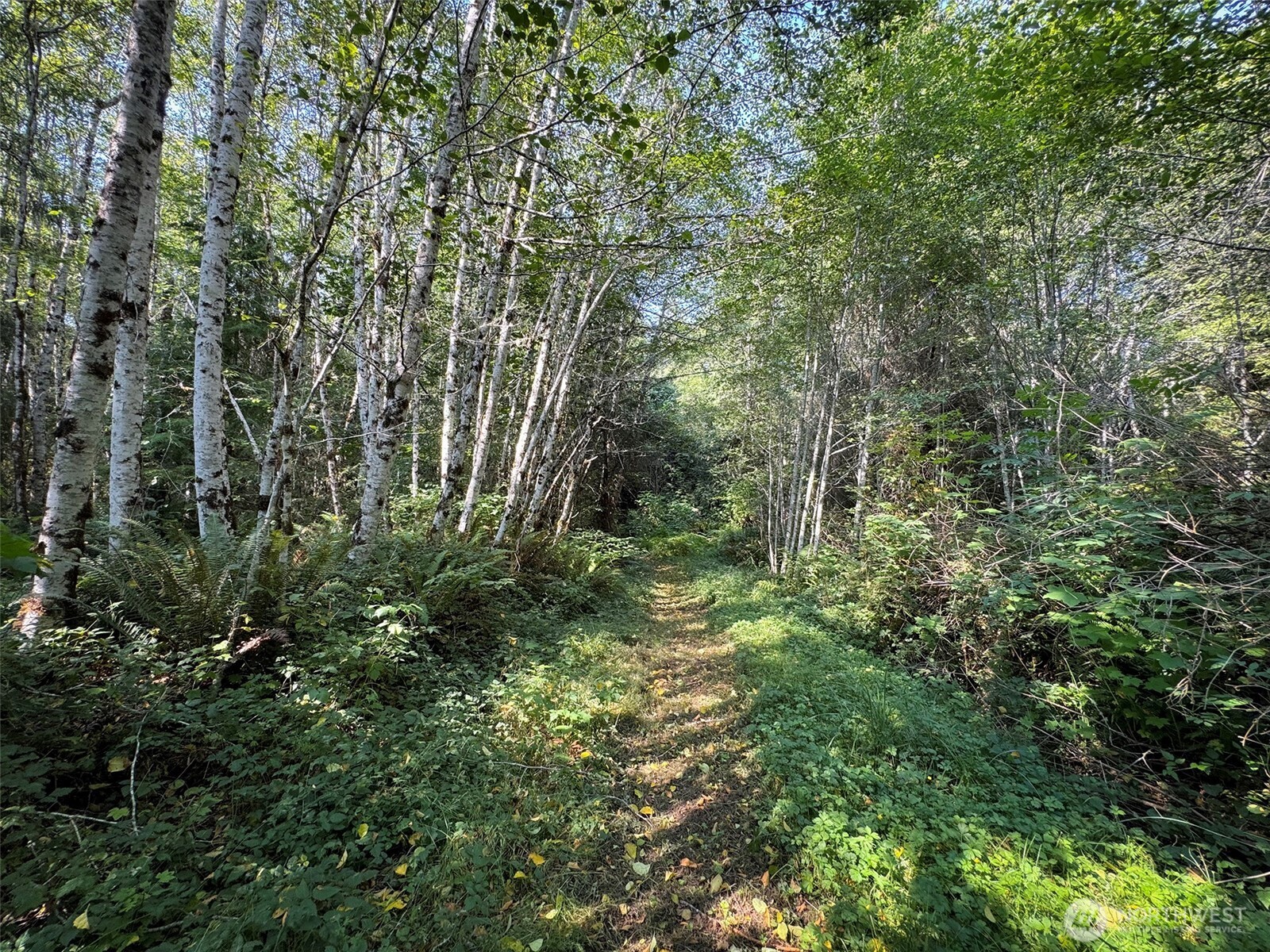 999 W Dew Knot Enter Road Property Photo 10