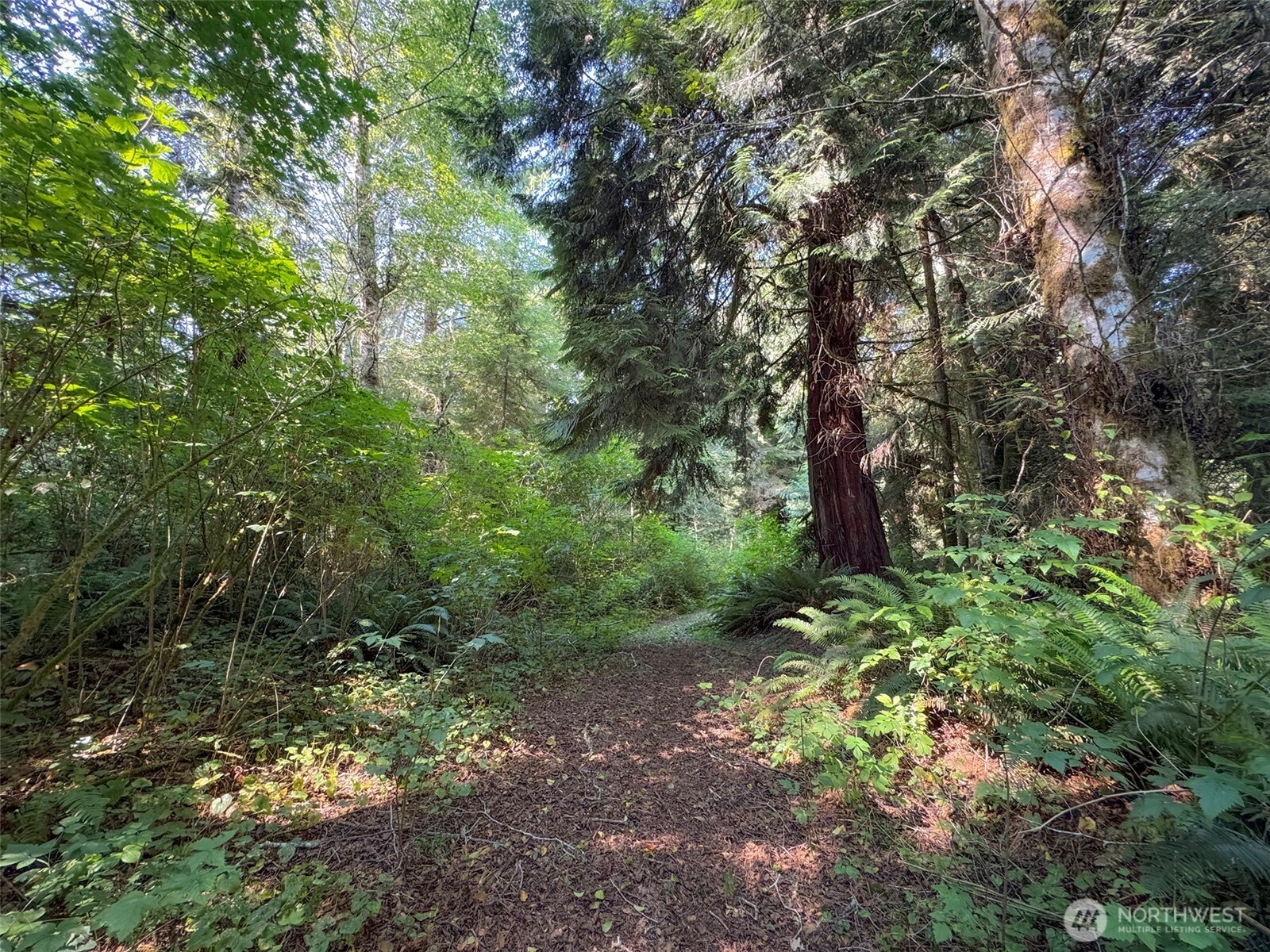 999 W Dew Knot Enter Road Property Photo 13