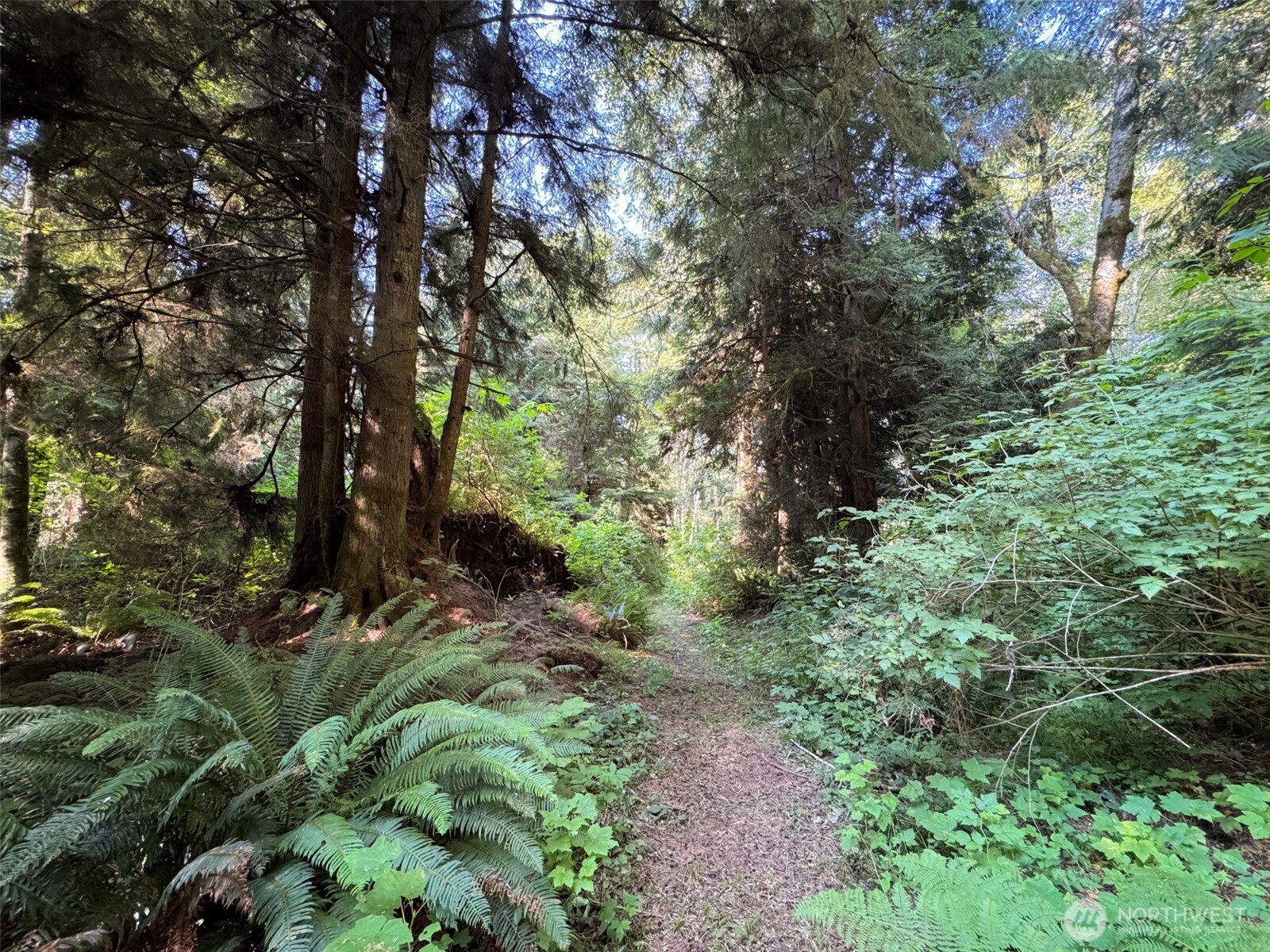 999 W Dew Knot Enter Road Property Photo 14