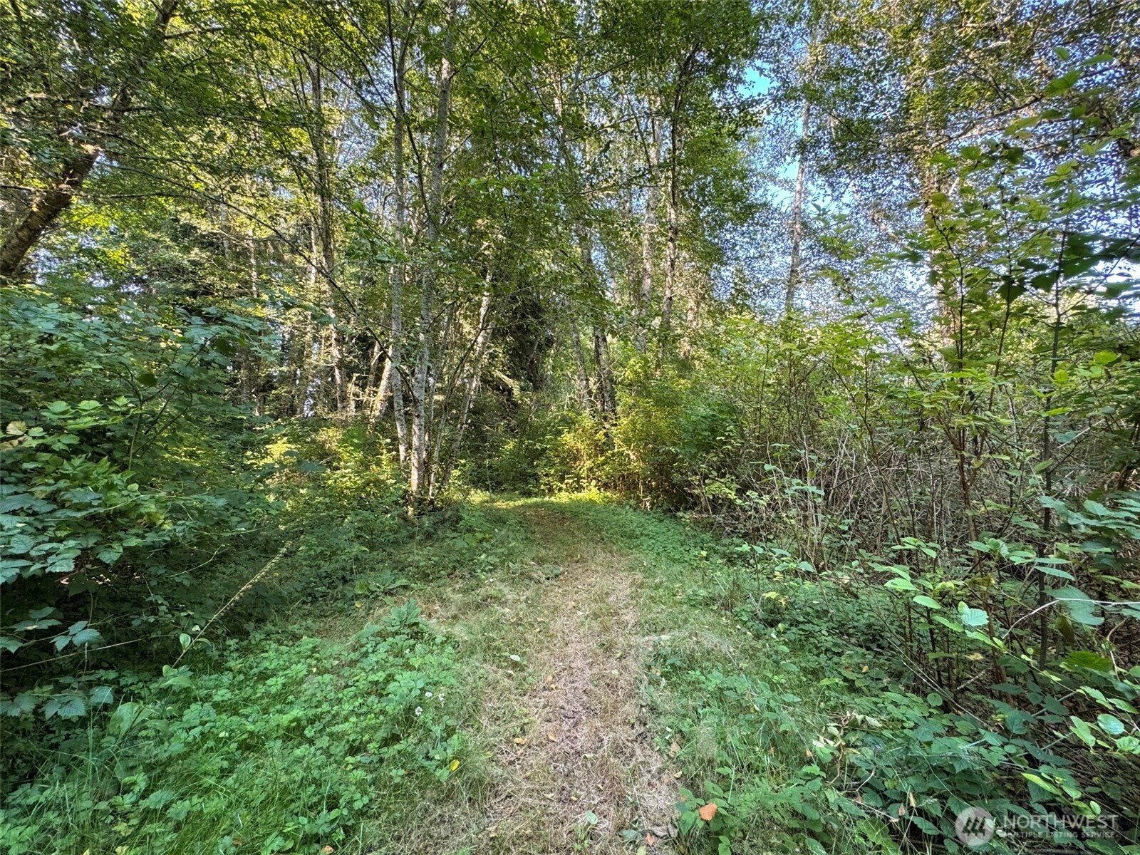999 W Dew Knot Enter Road Property Photo 17
