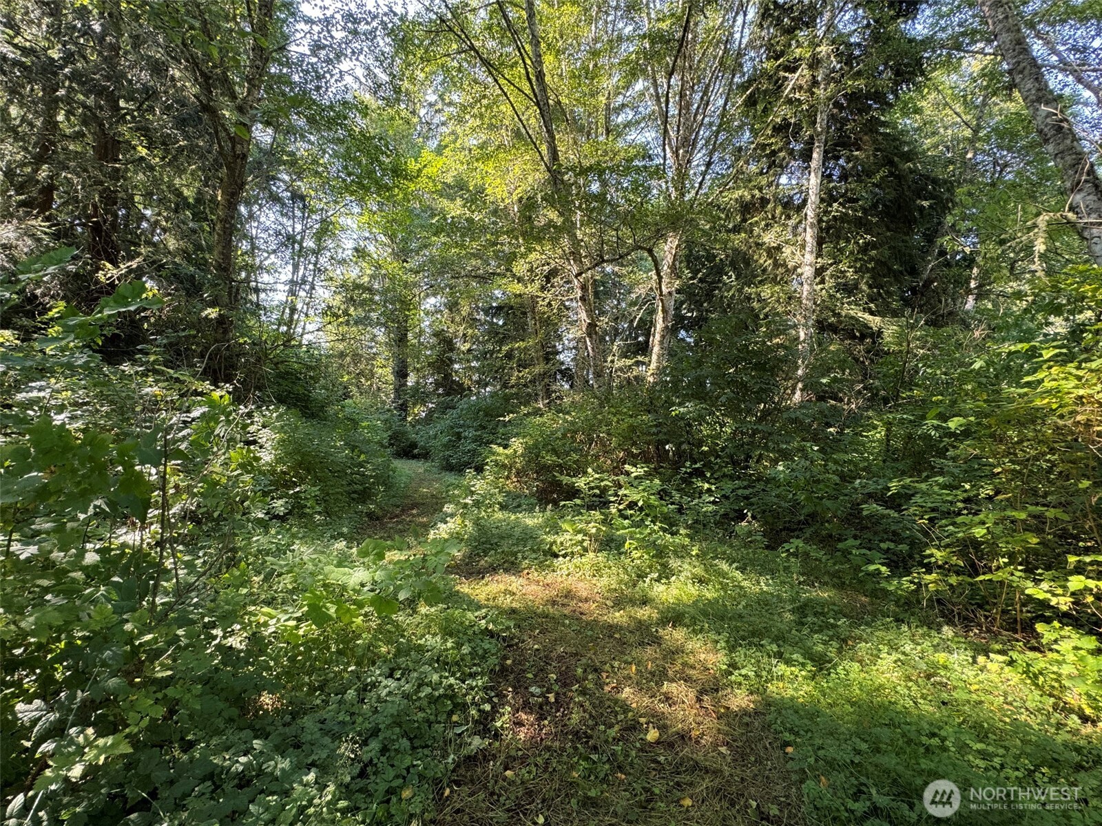 999 W Dew Knot Enter Road Property Photo 18