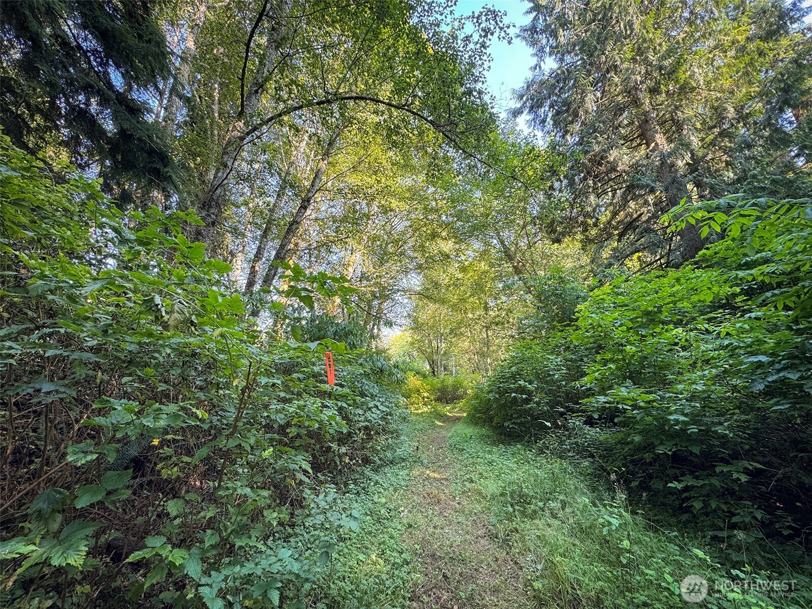 999 W Dew Knot Enter Road Property Photo 25